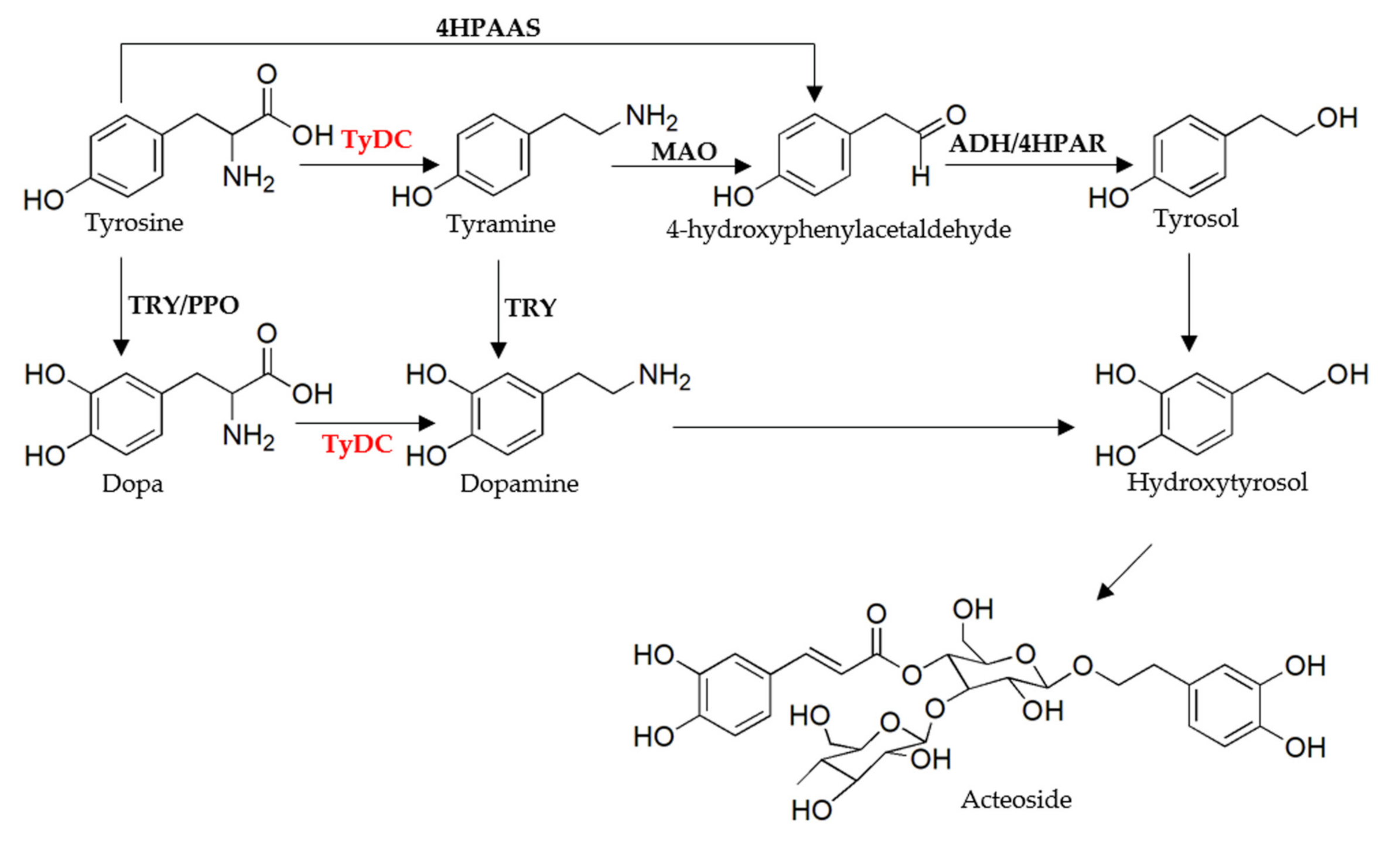 Molecules 27 01634 g001 Molecules 27 01634 g001