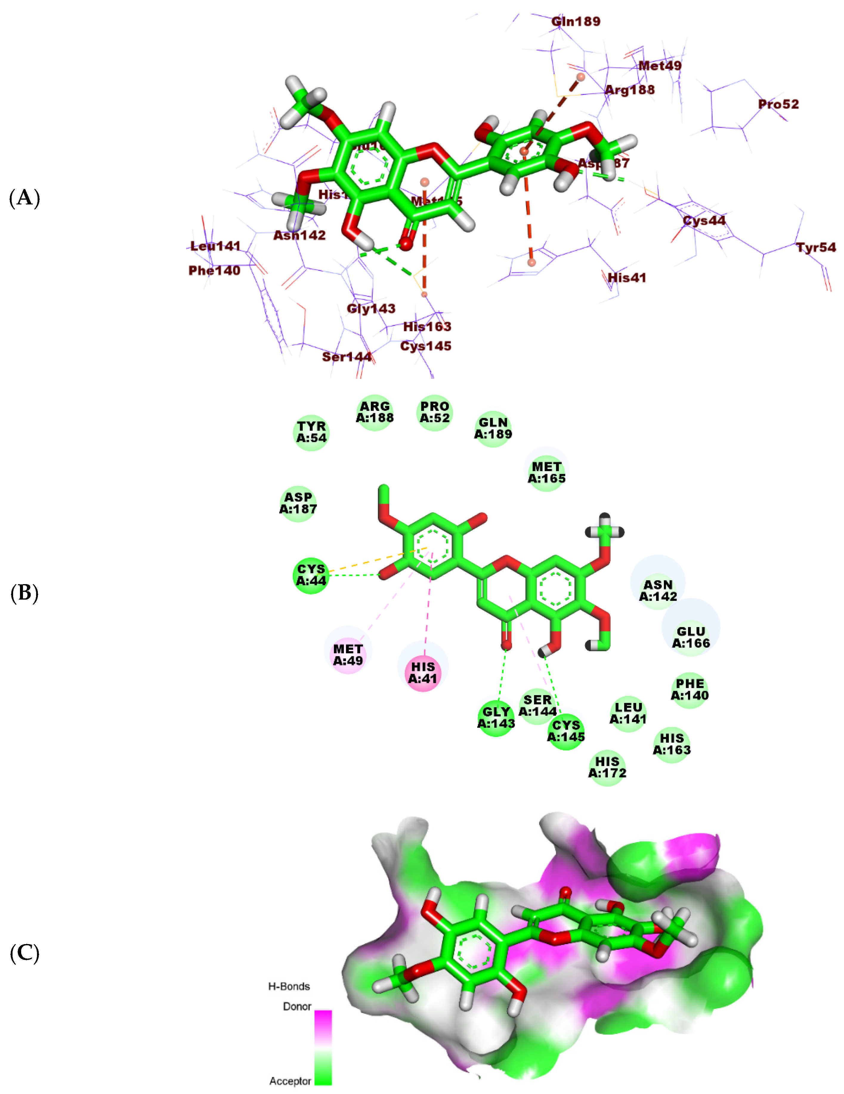 Molecules 27 01636 g011