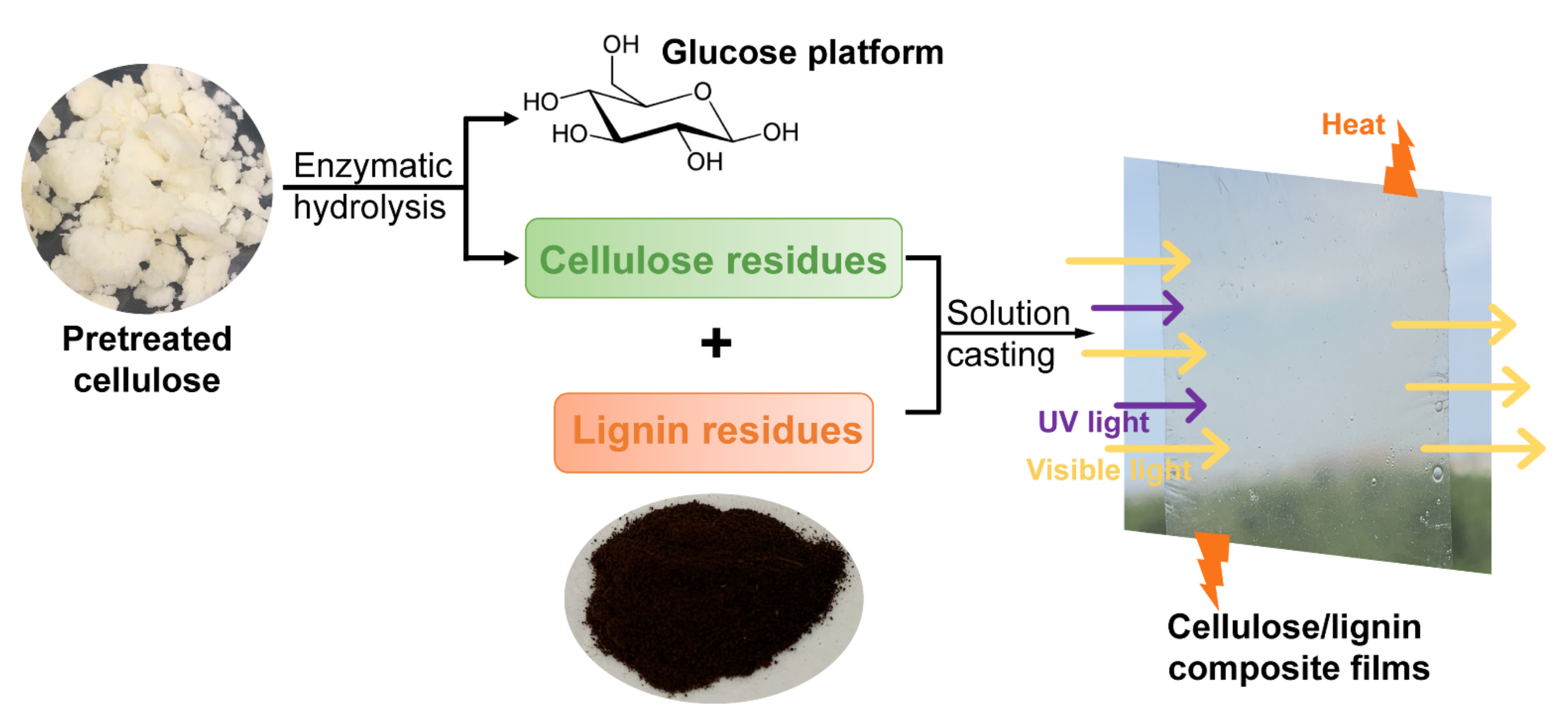 Molecules 27 01637 g001