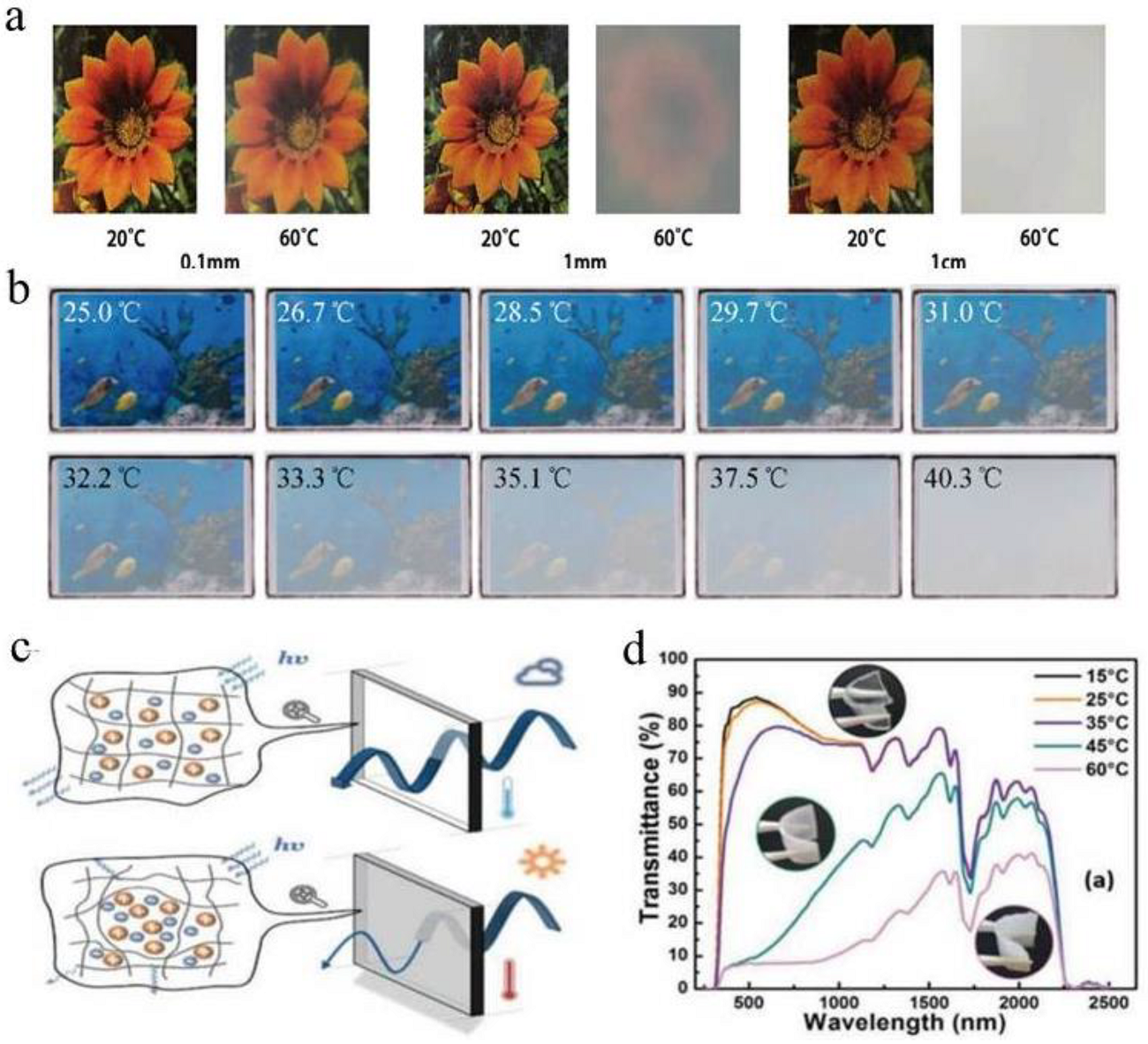 Molecules 27 01638 g004