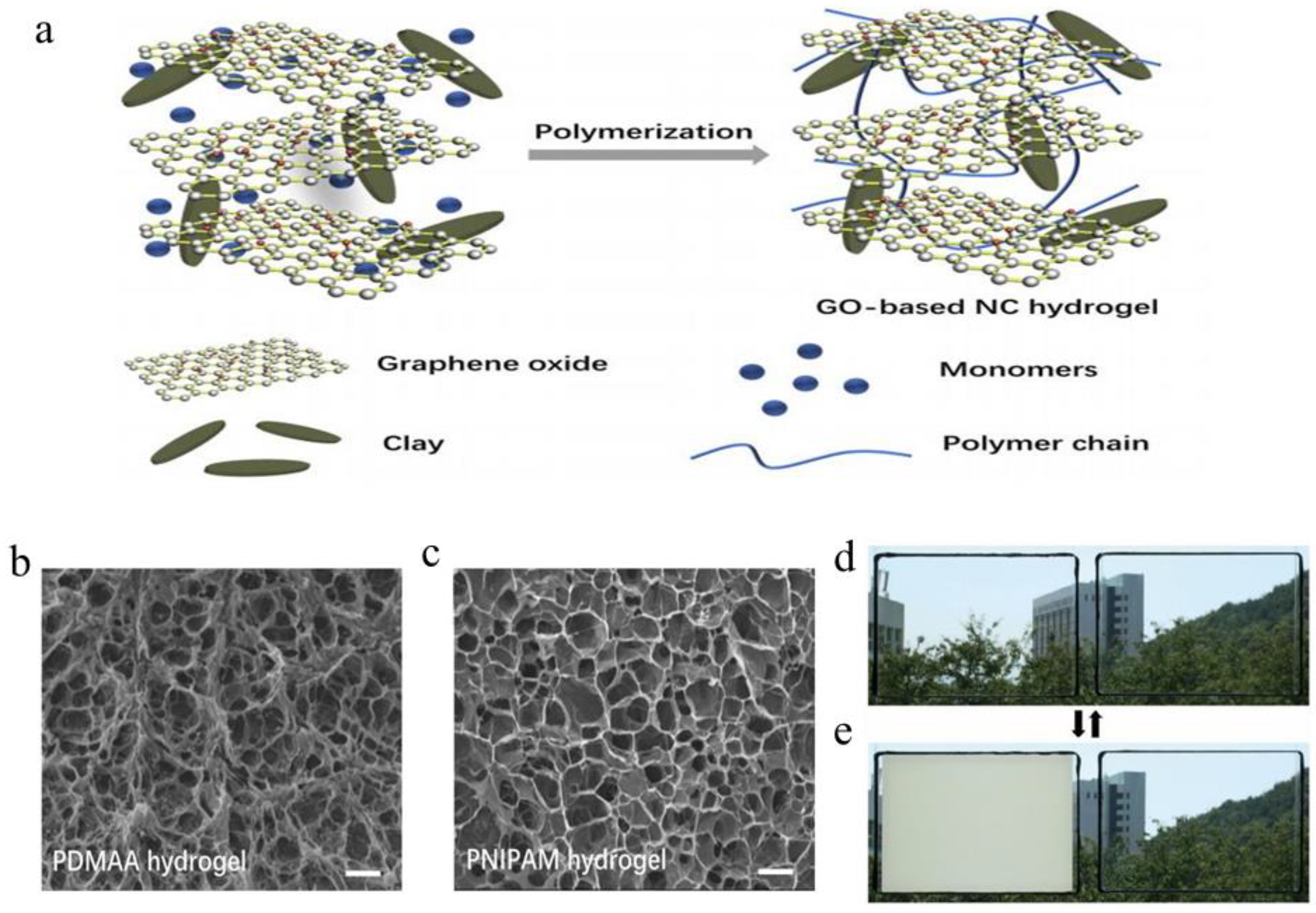 Molecules 27 01638 g007