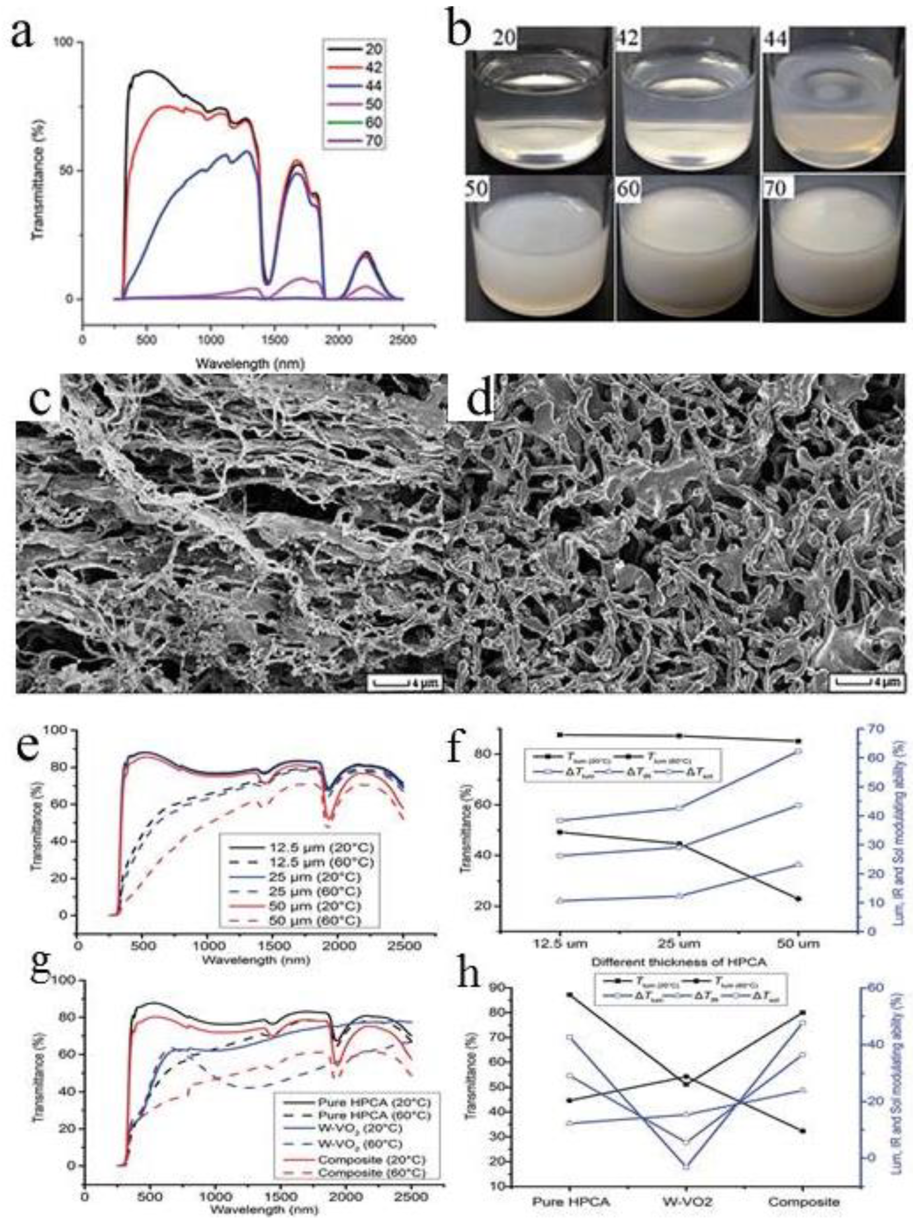 Molecules 27 01638 g008