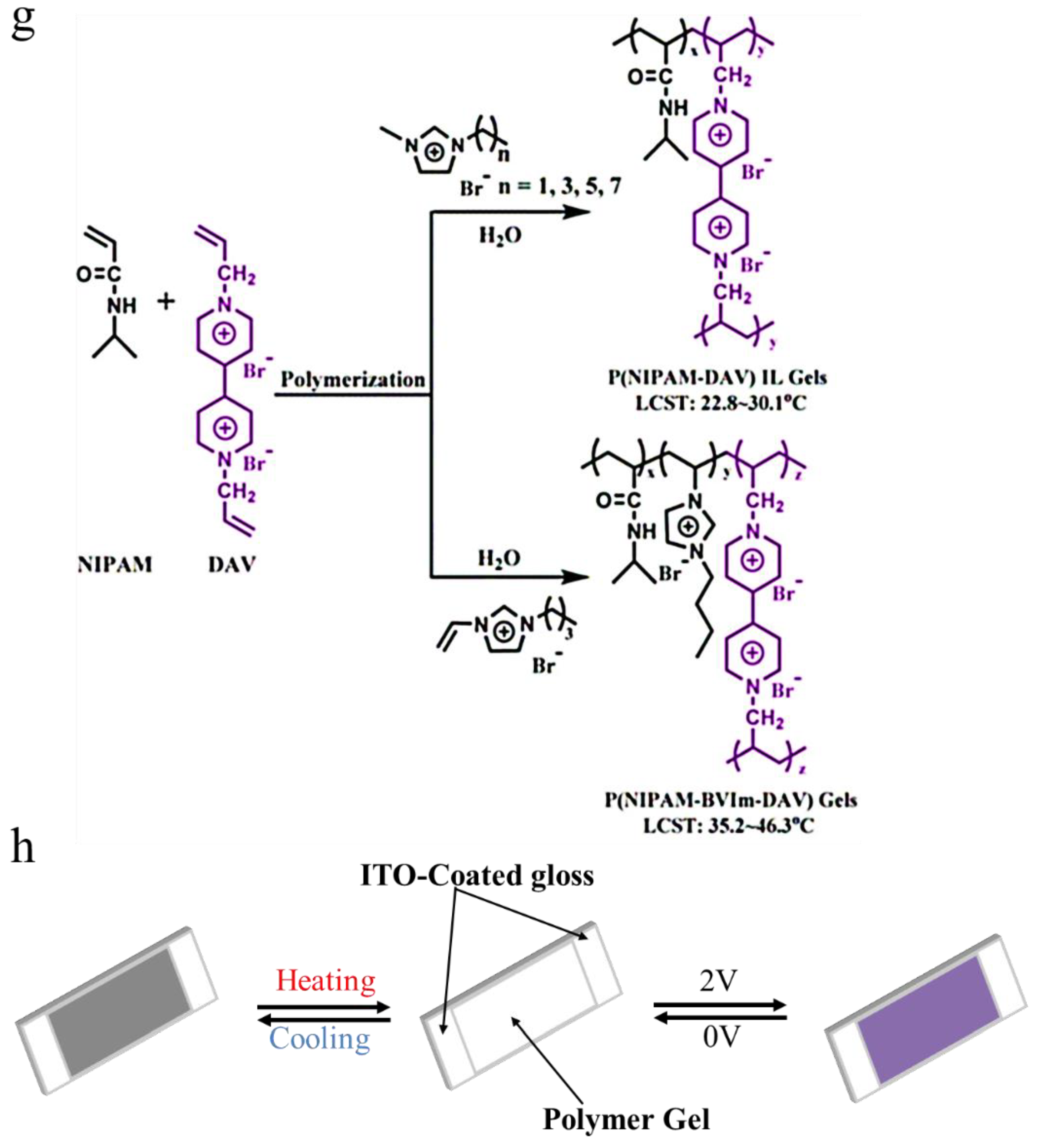 Molecules 27 01638 g010b