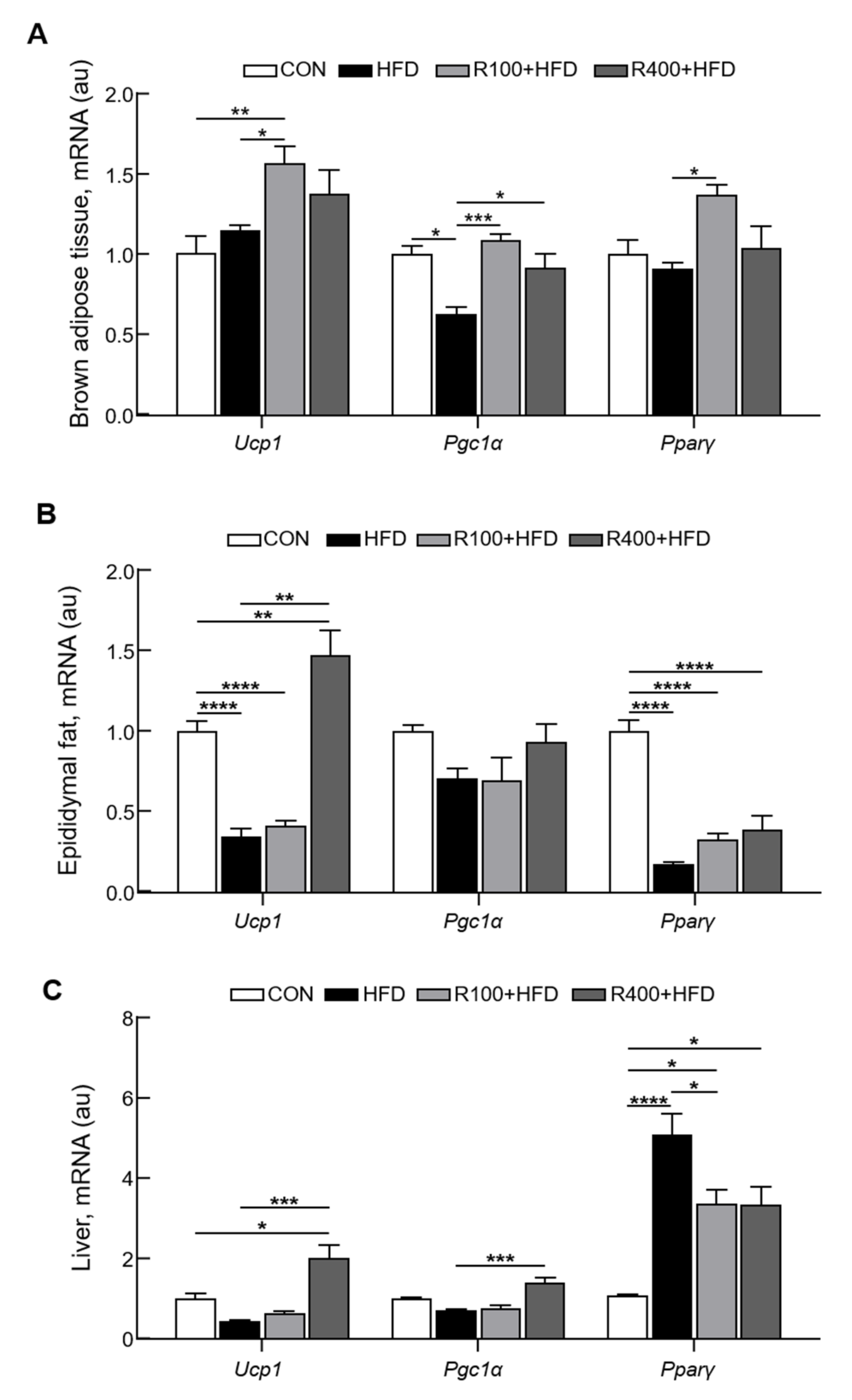 Molecules 27 01649 g004