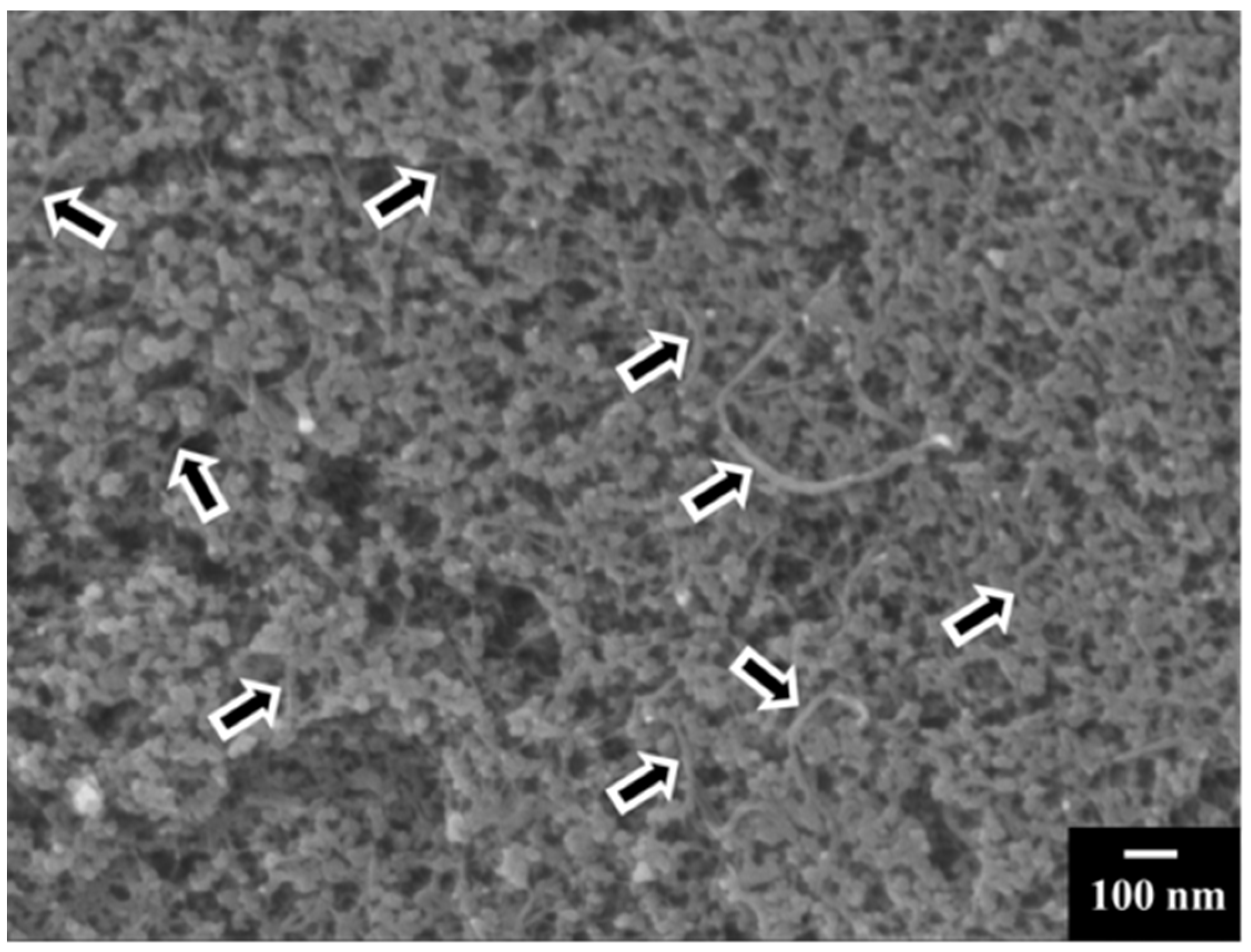 Molecules 27 01659 g004