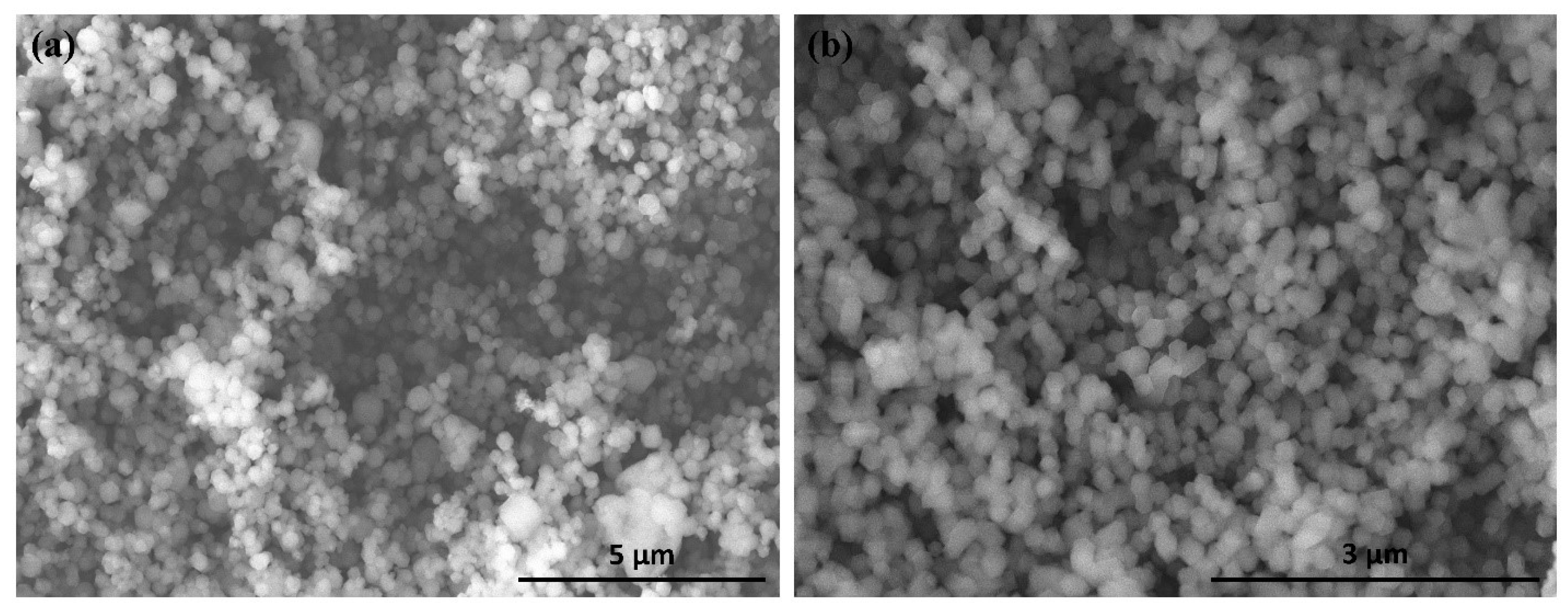 Molecules 27 01670 g001