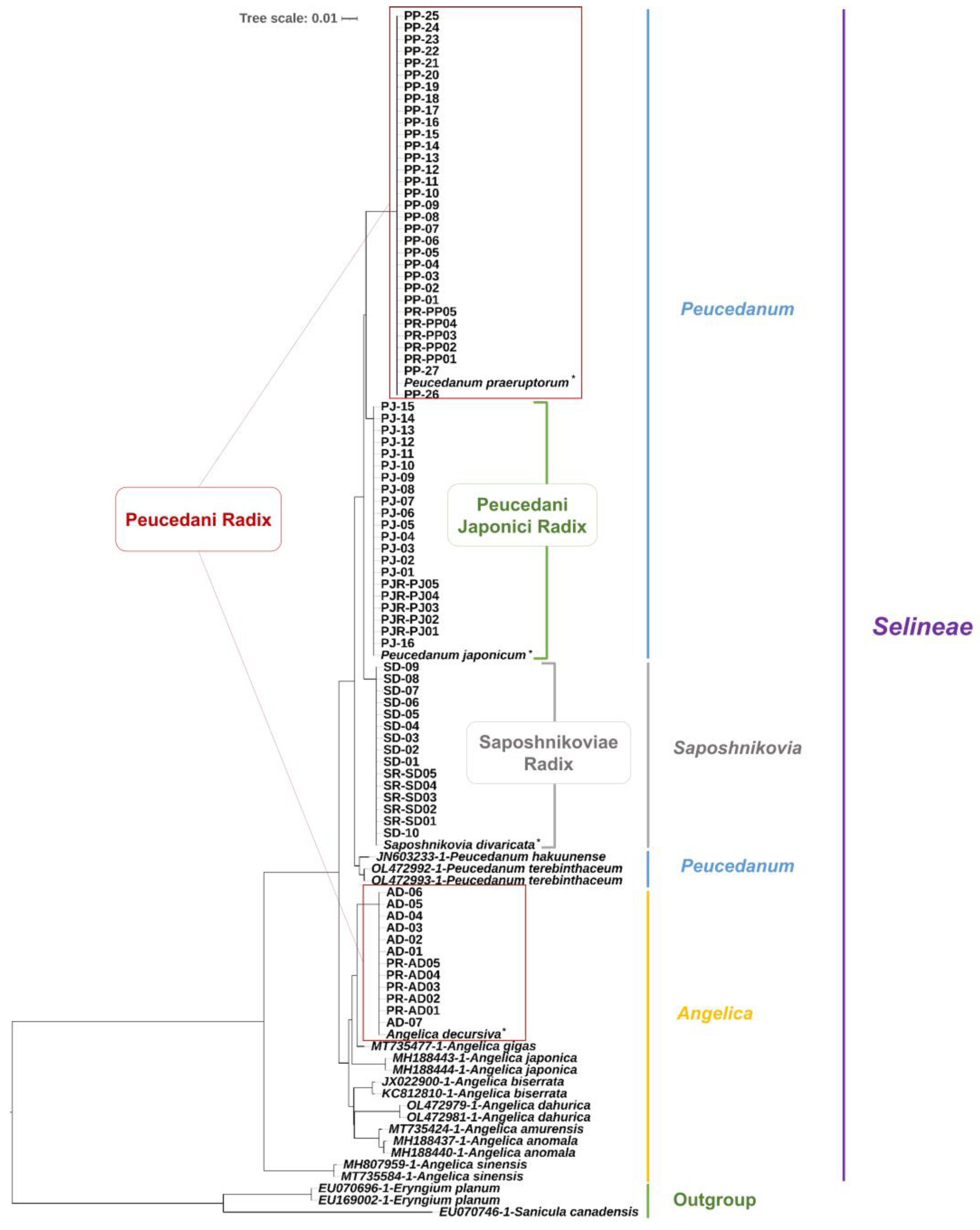Molecules 27 01675 g001
