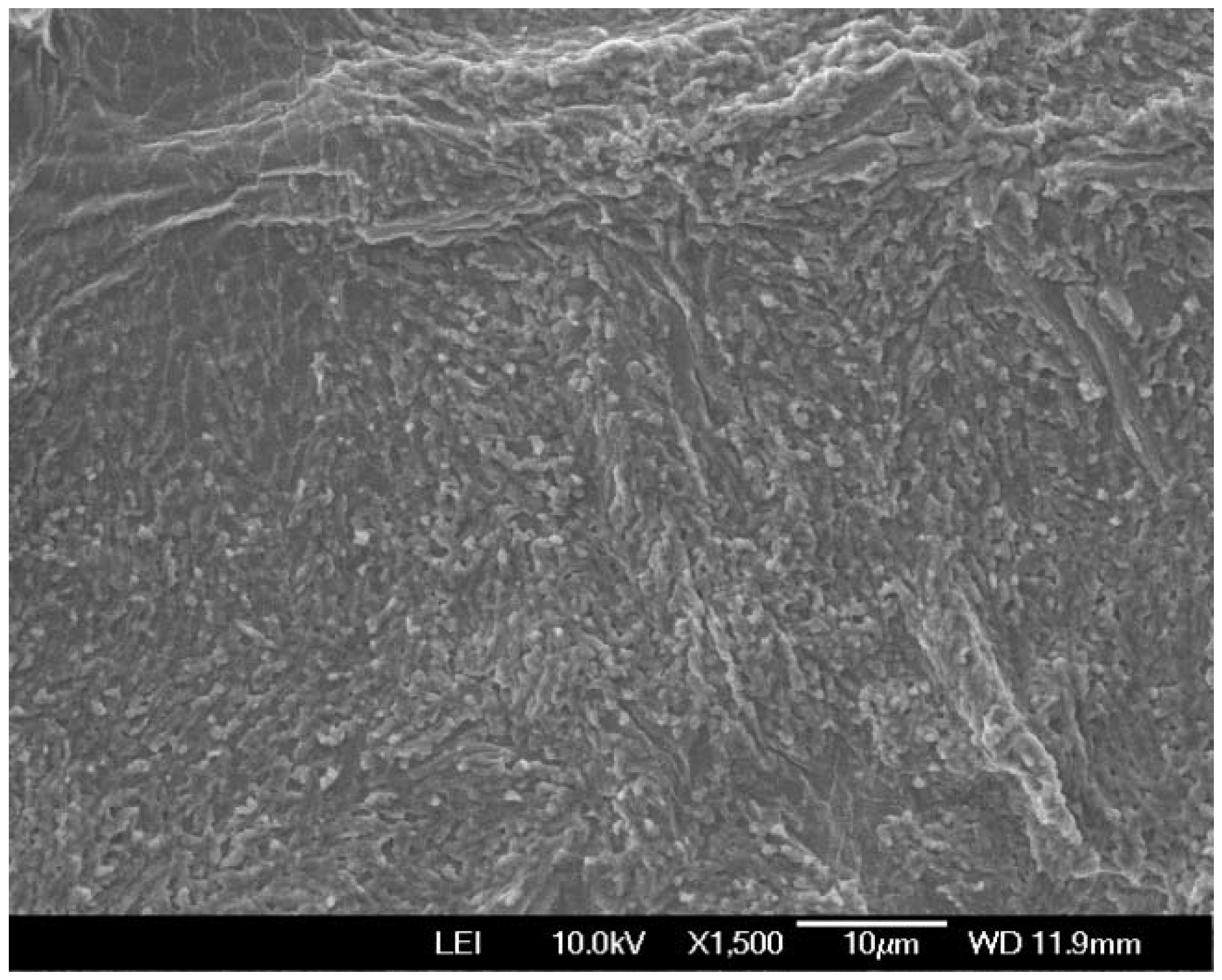 Molecules 27 01688 g001