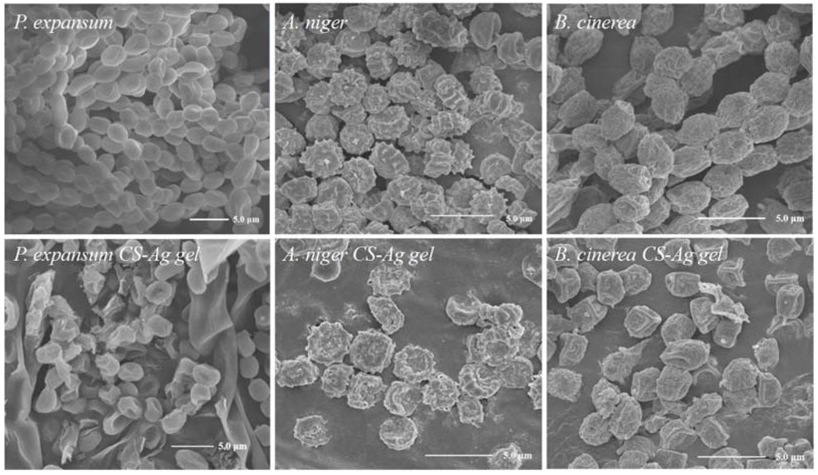 Molecules 27 01688 g008