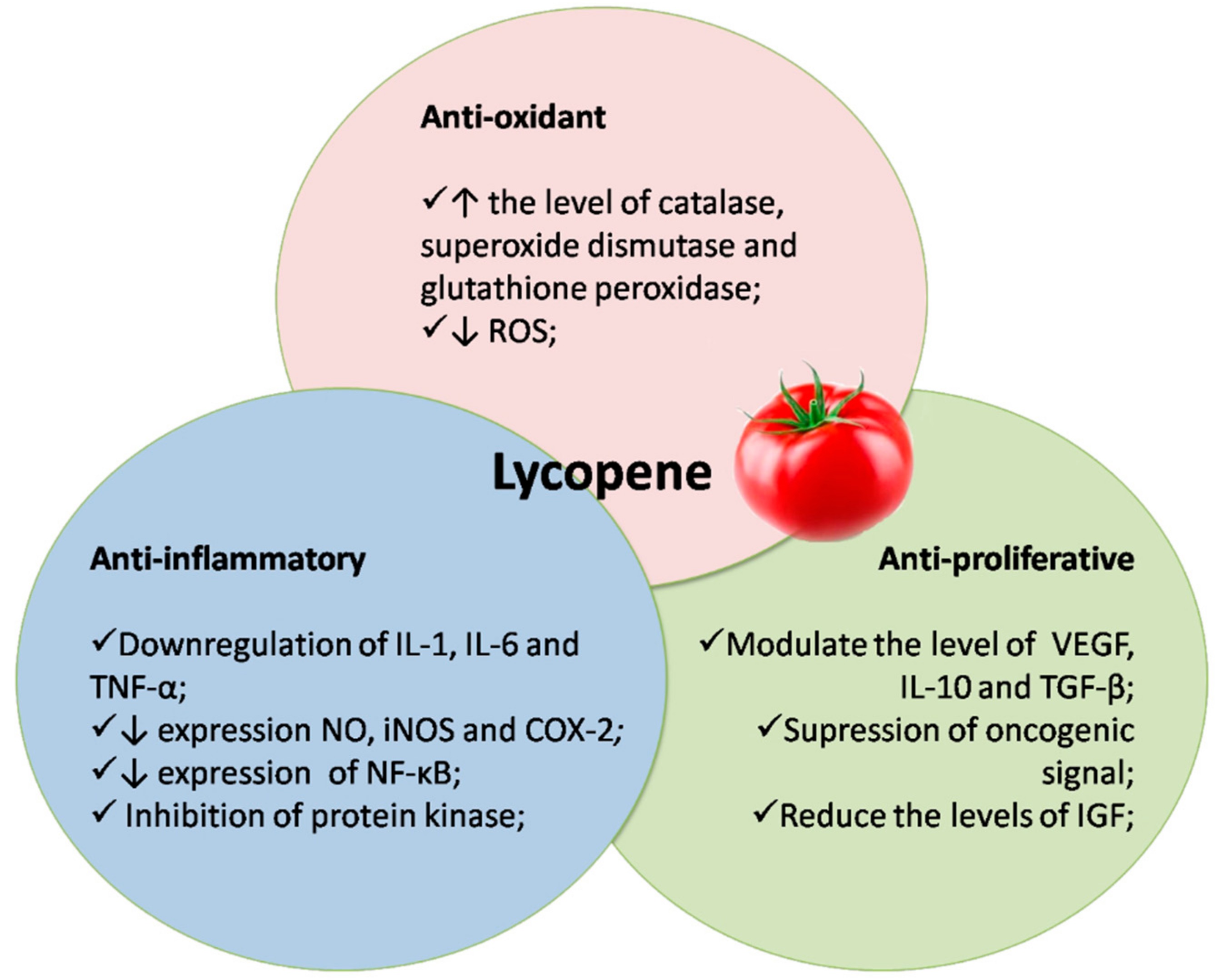 Molecules 27 01701 g003 Molecules 27 01701 g003