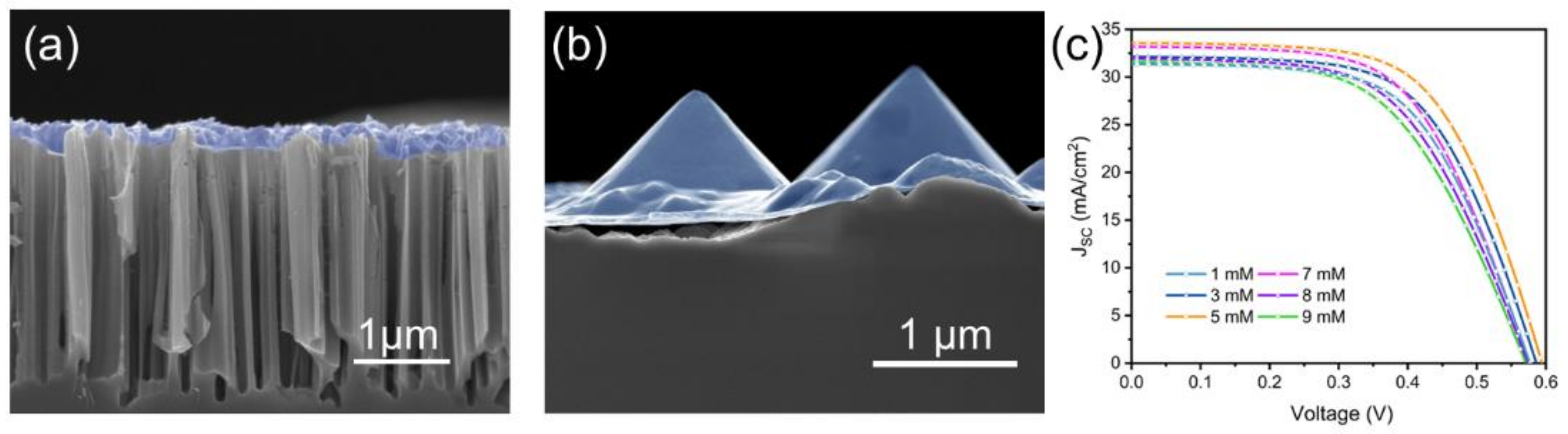Molecules 27 01710 g003