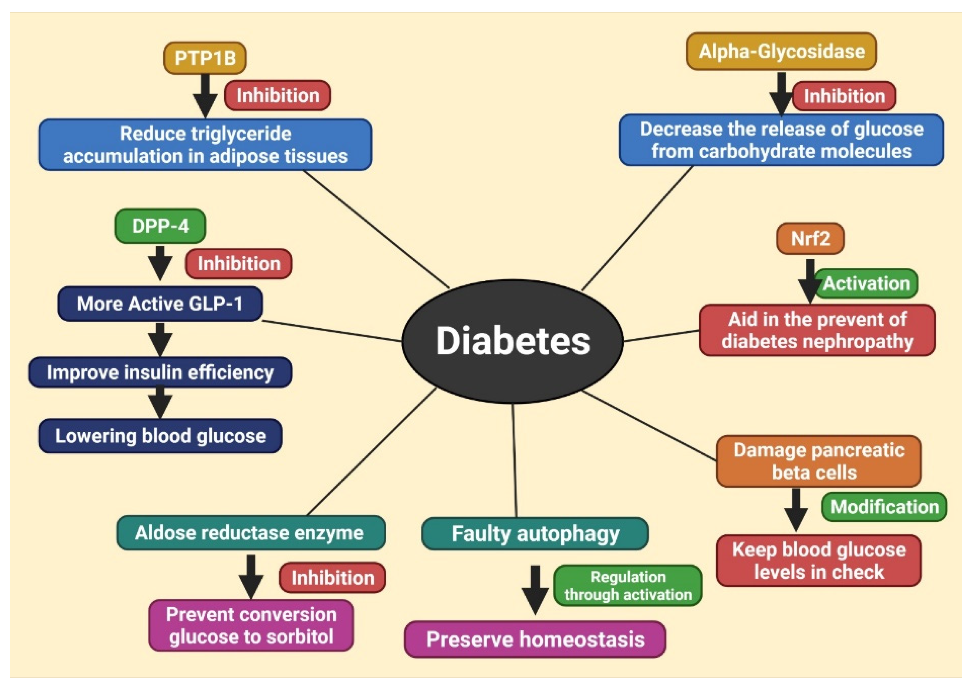 Molecules 27 01713 g004