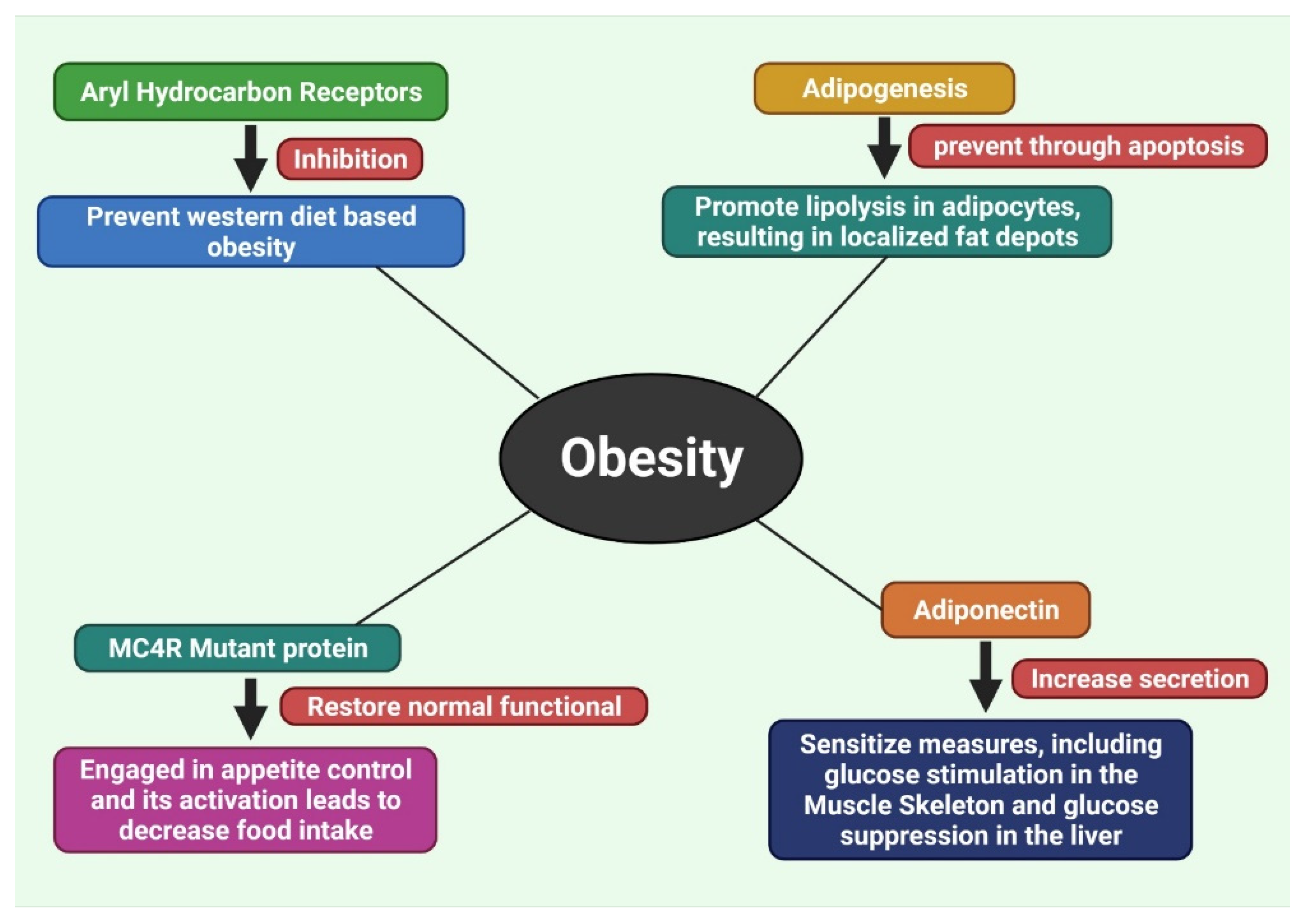 Molecules 27 01713 g006