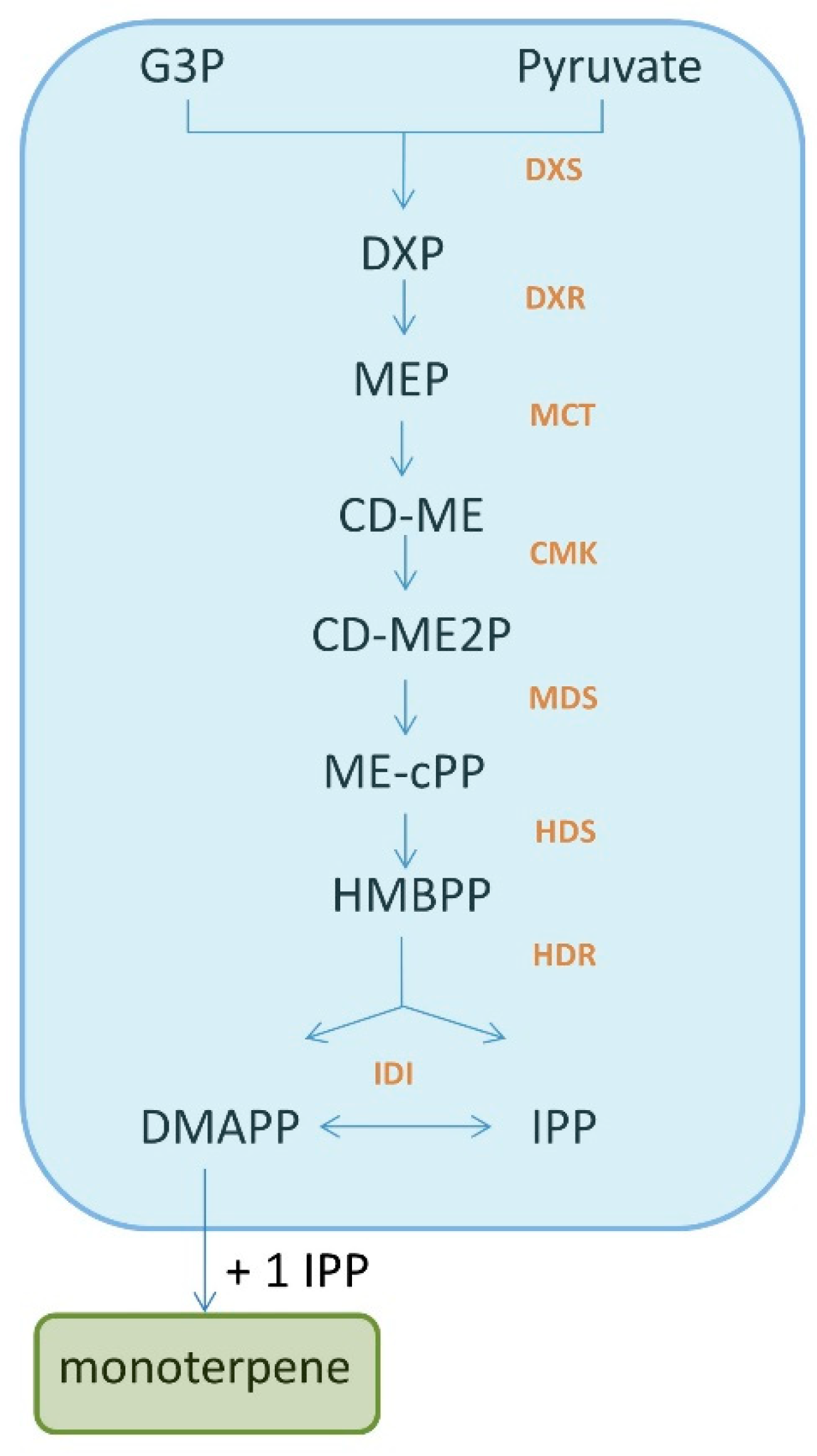 Molecules 27 01716 g001