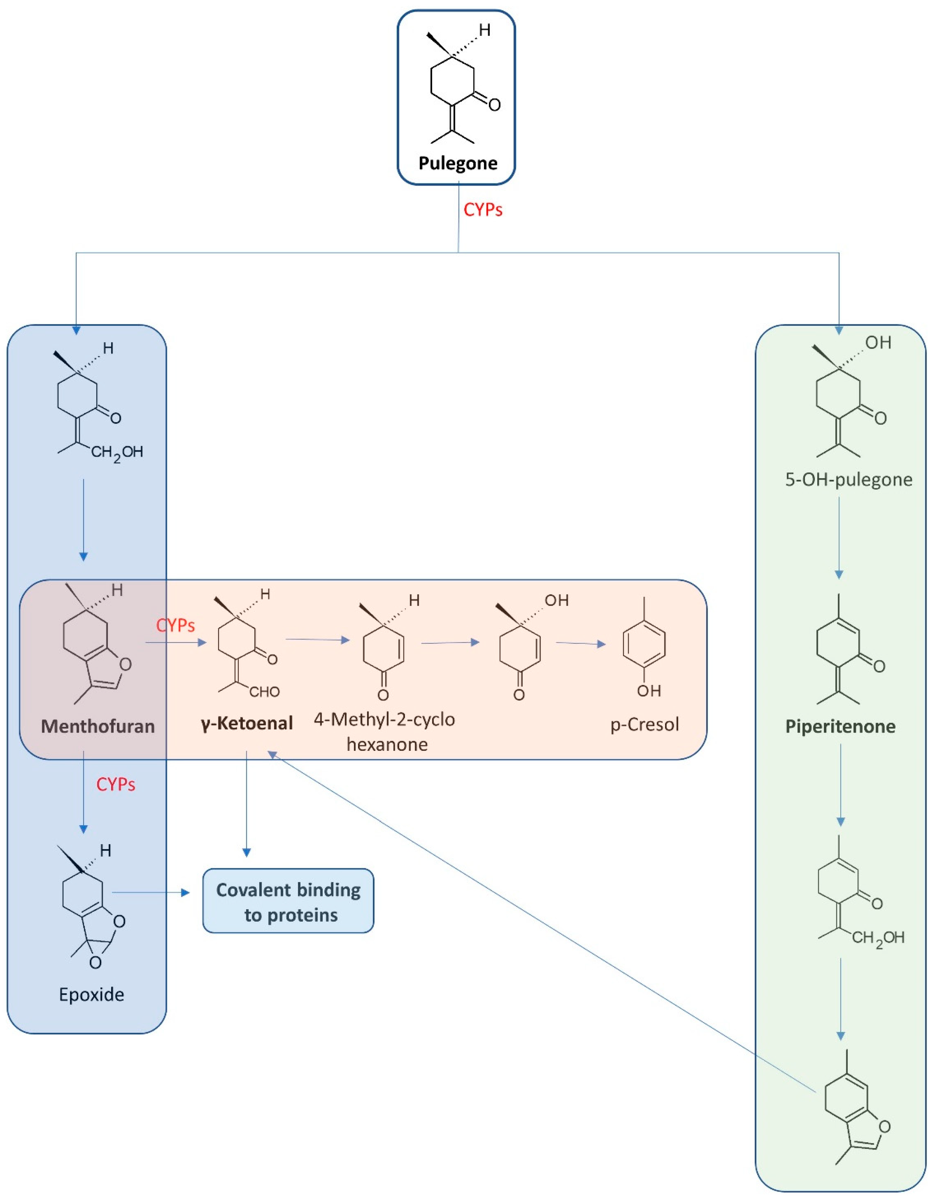 Molecules 27 01716 g003