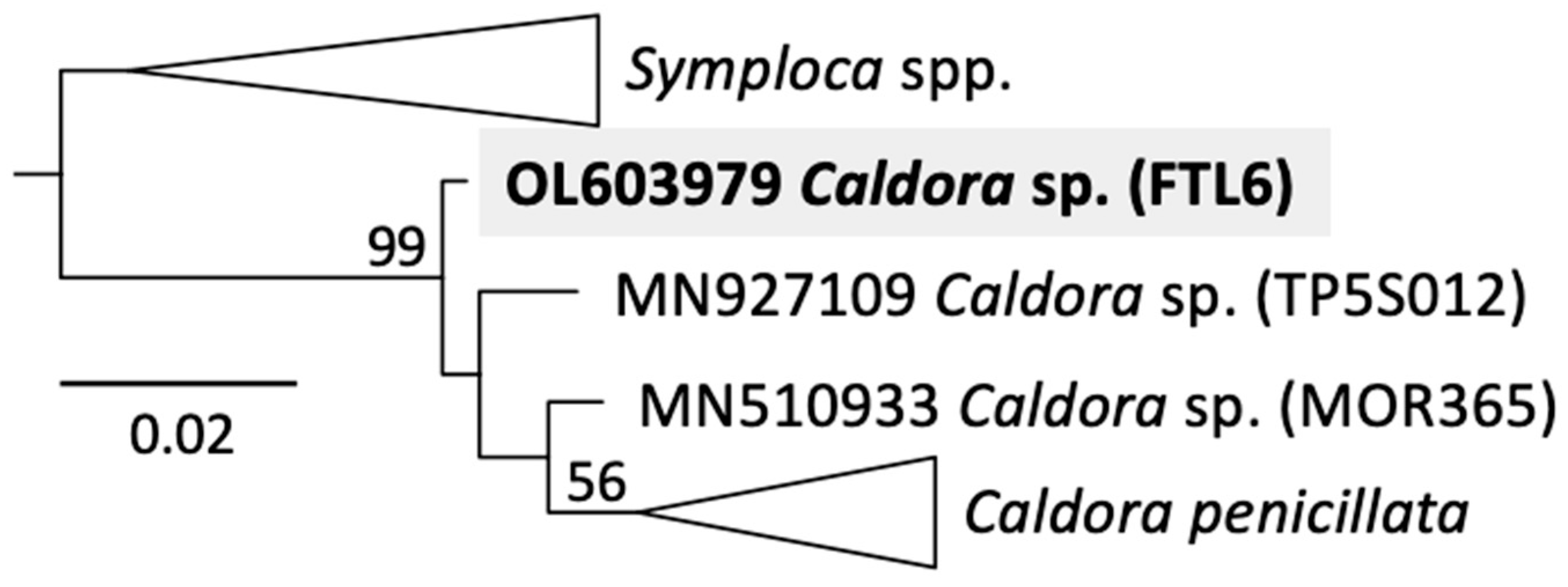 Molecules 27 01717 g002