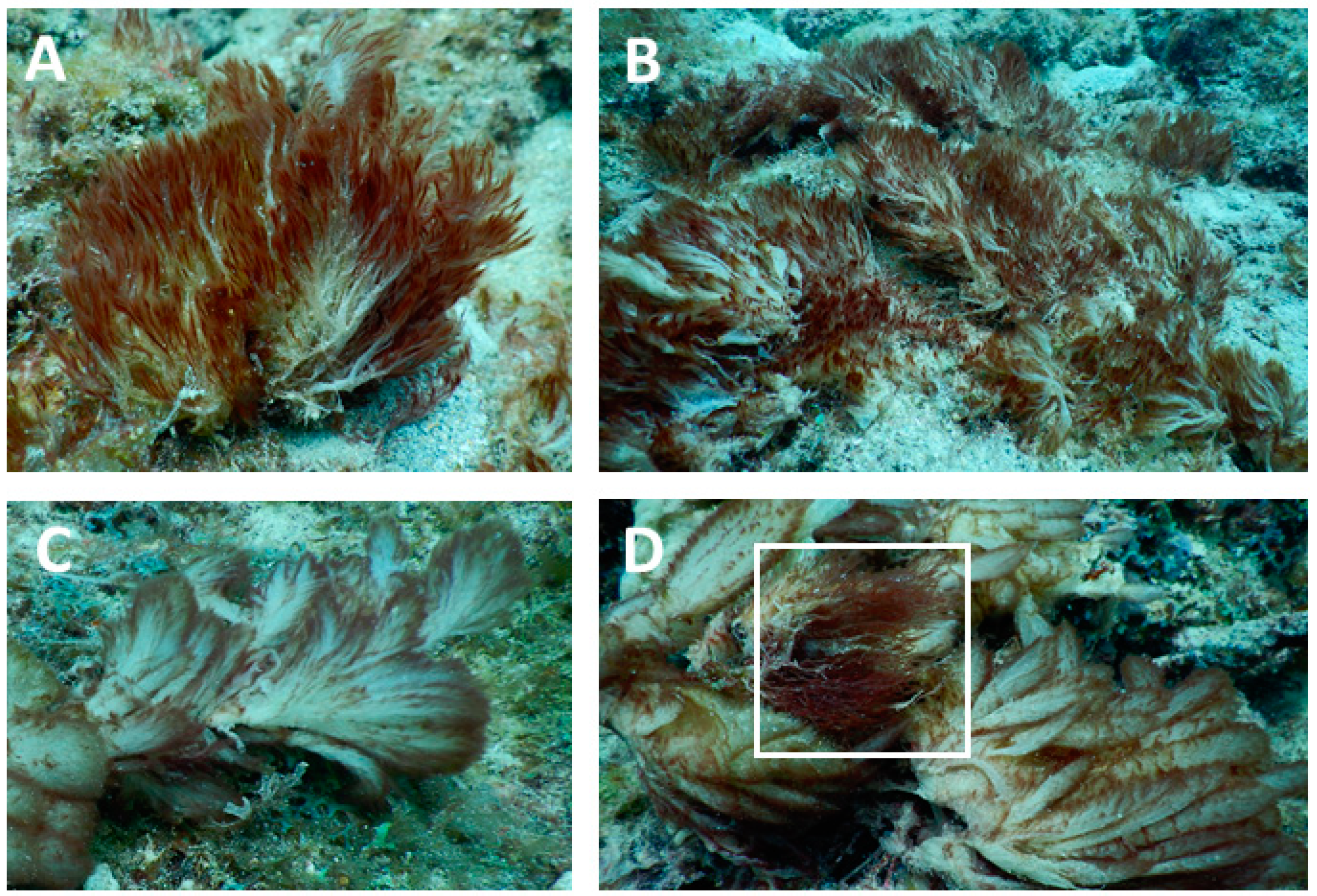 Molecules 27 01717 g003