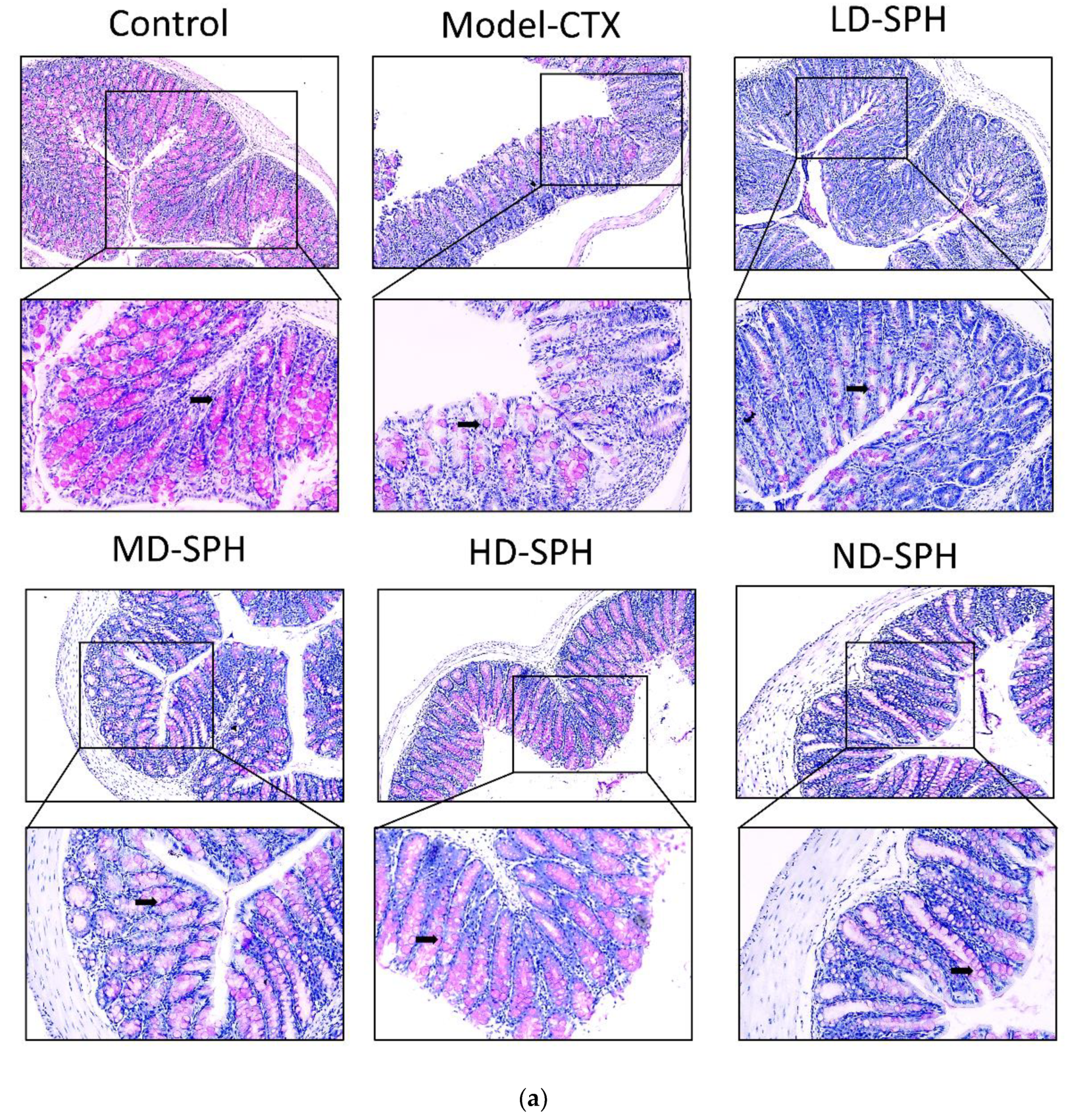 Molecules 27 01720 g007a