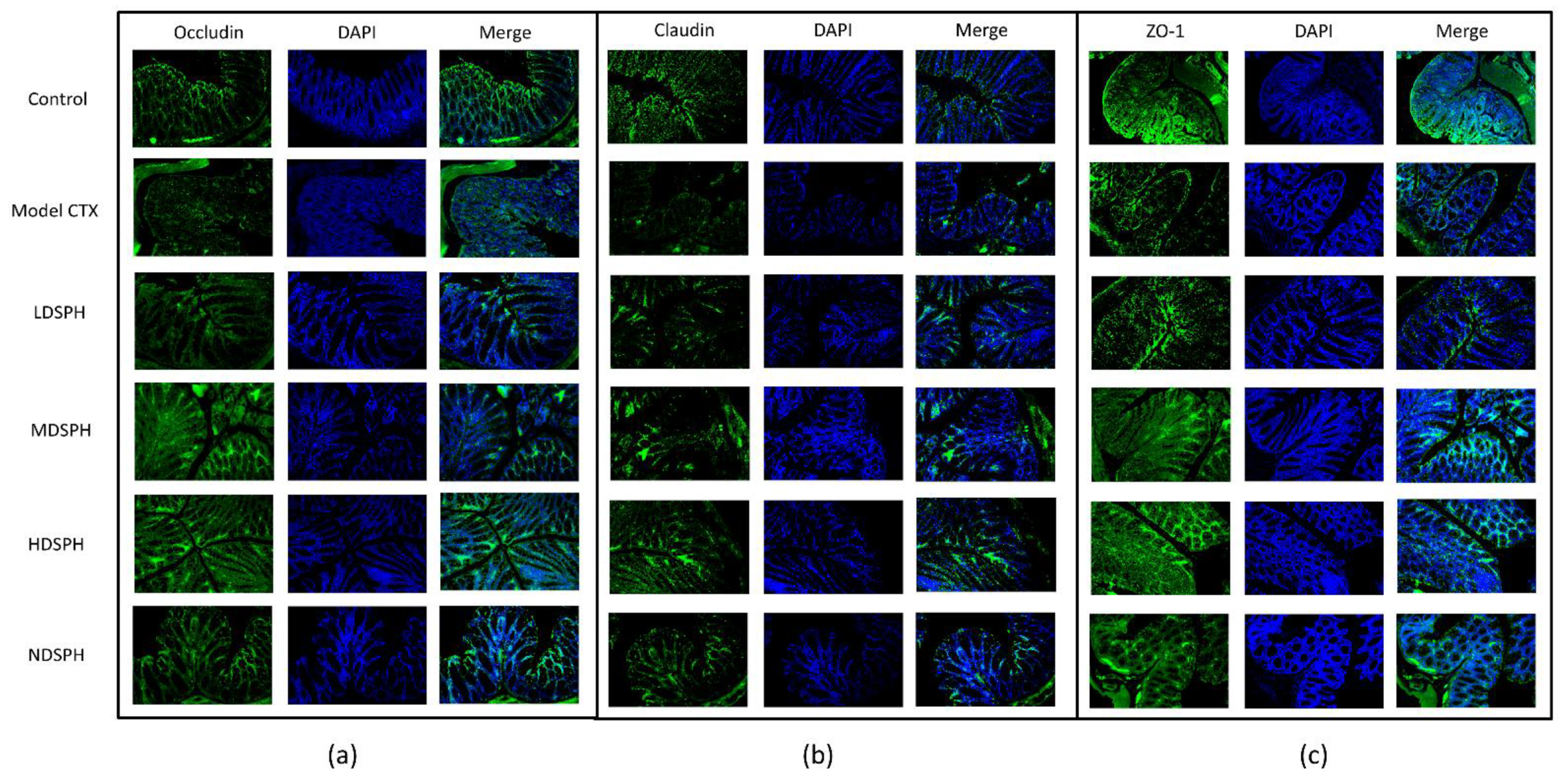 Molecules 27 01720 g009