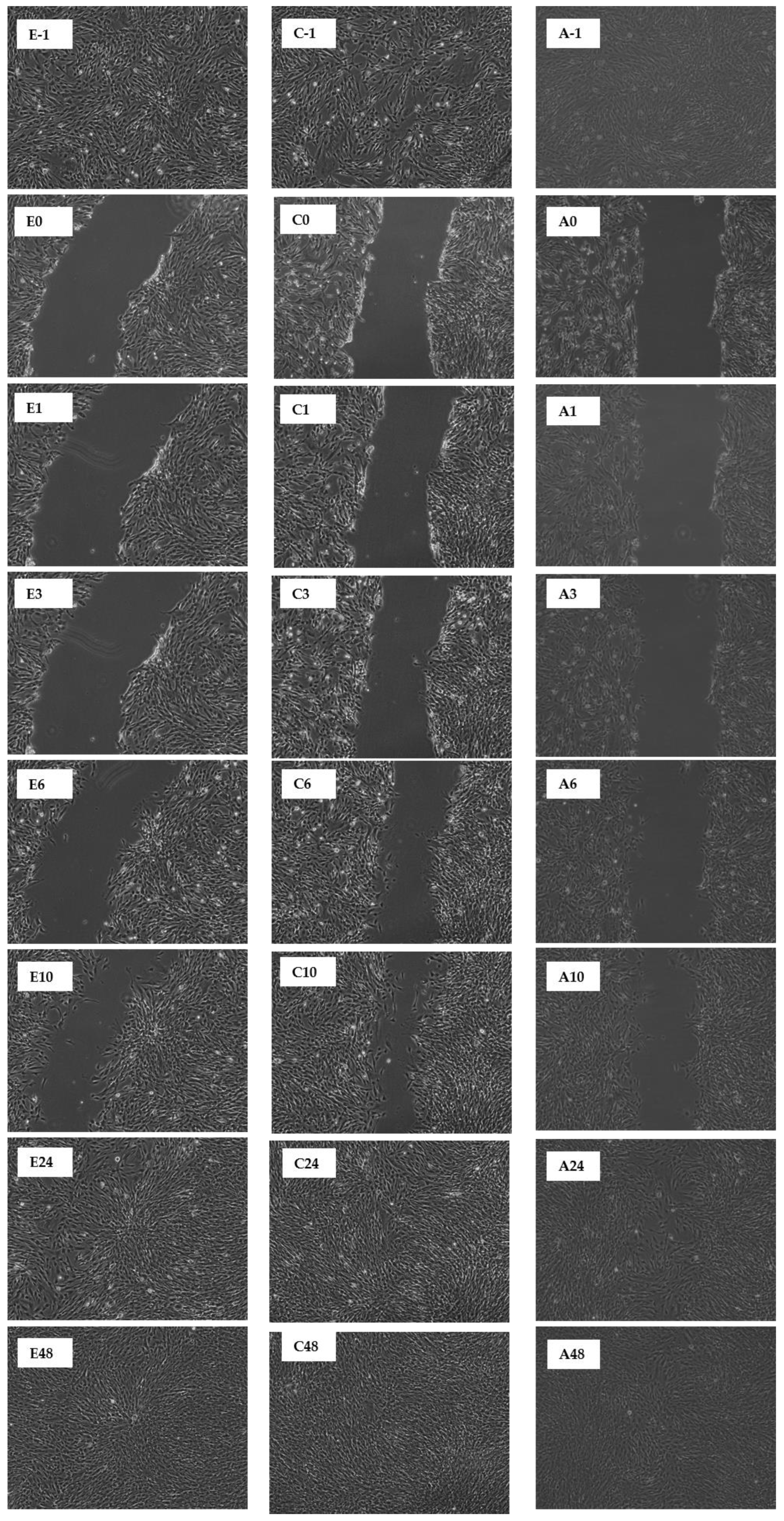Molecules 27 01722 g008