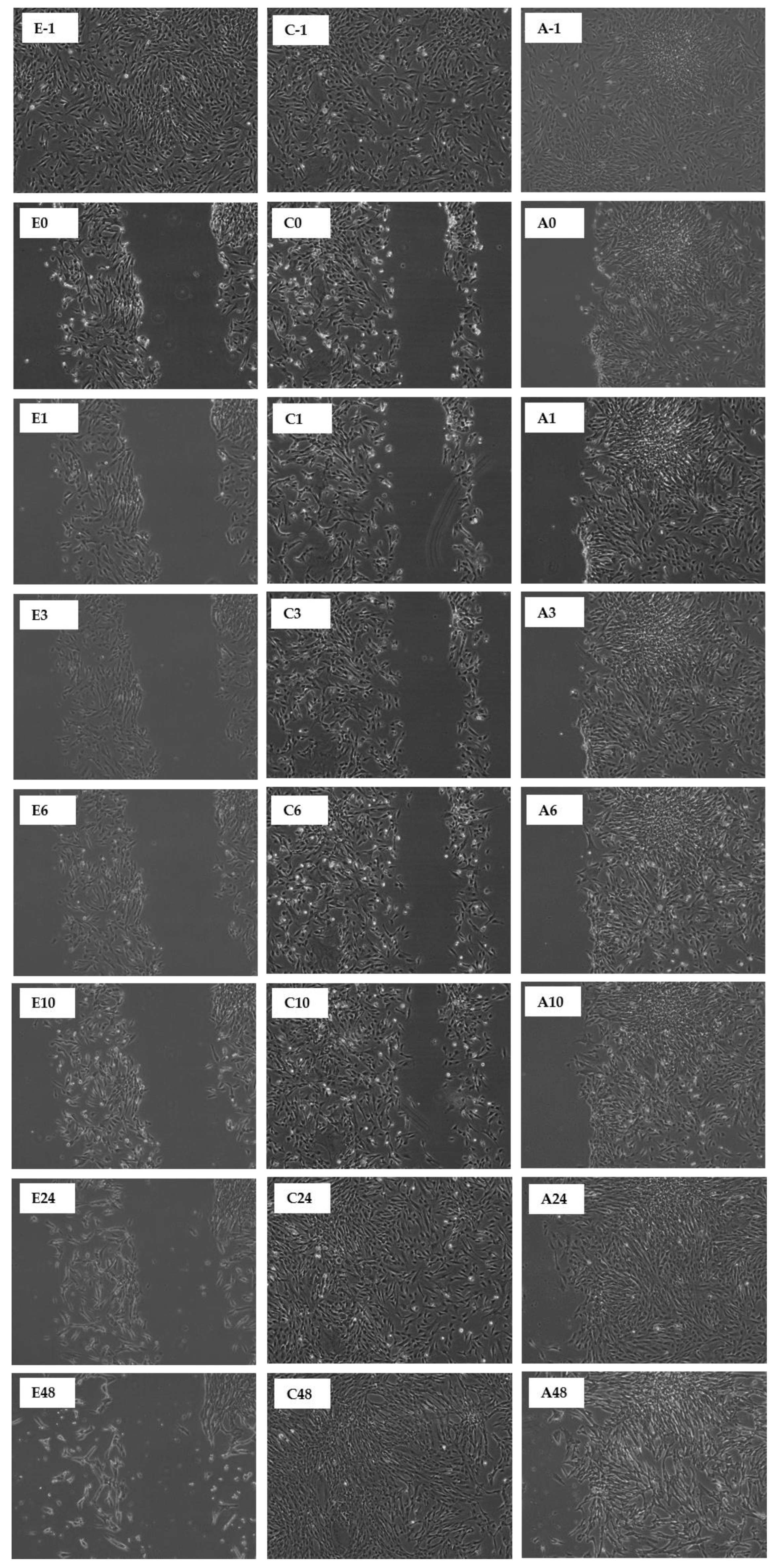 Molecules 27 01722 g009