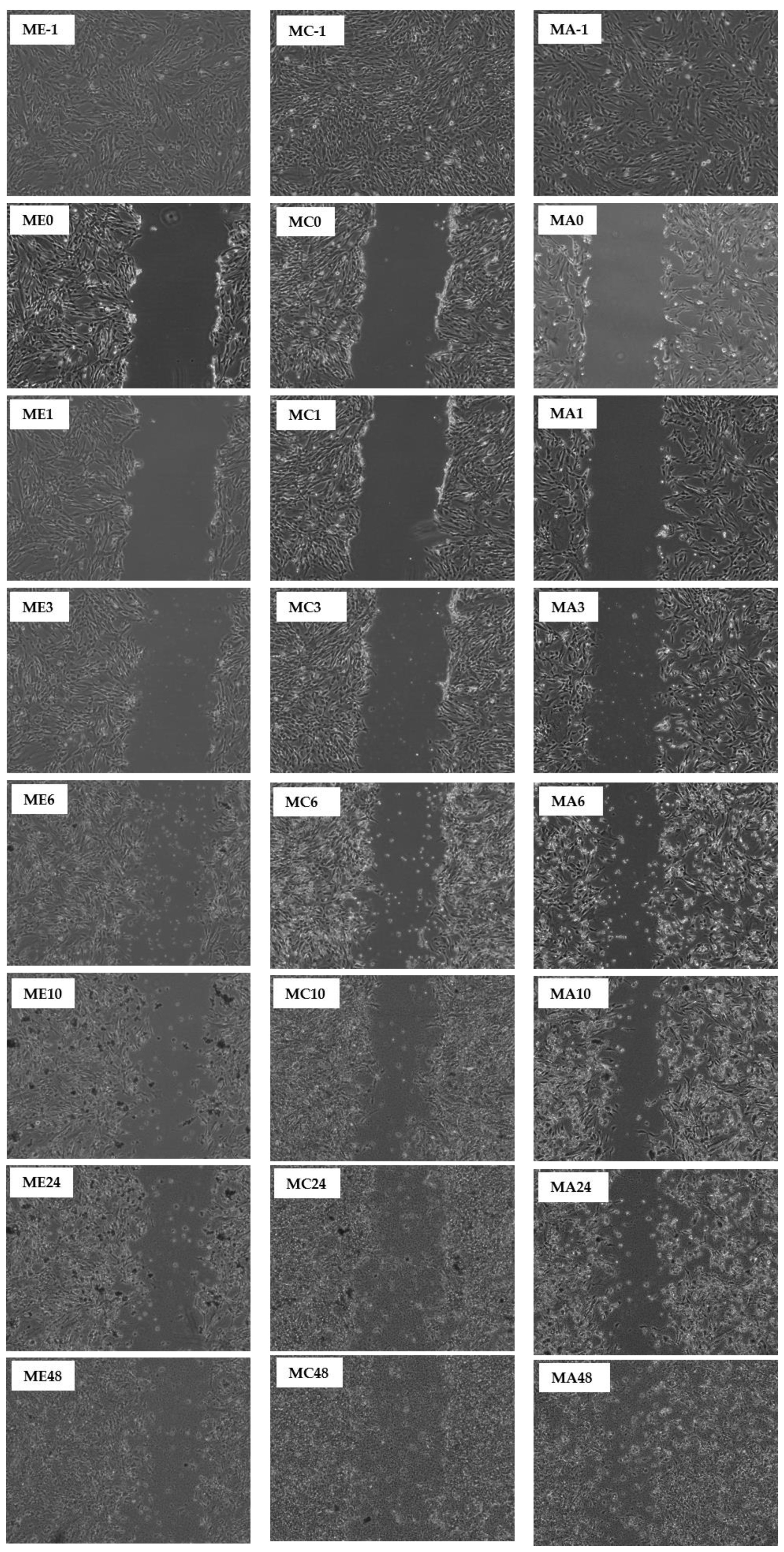 Molecules 27 01722 g010