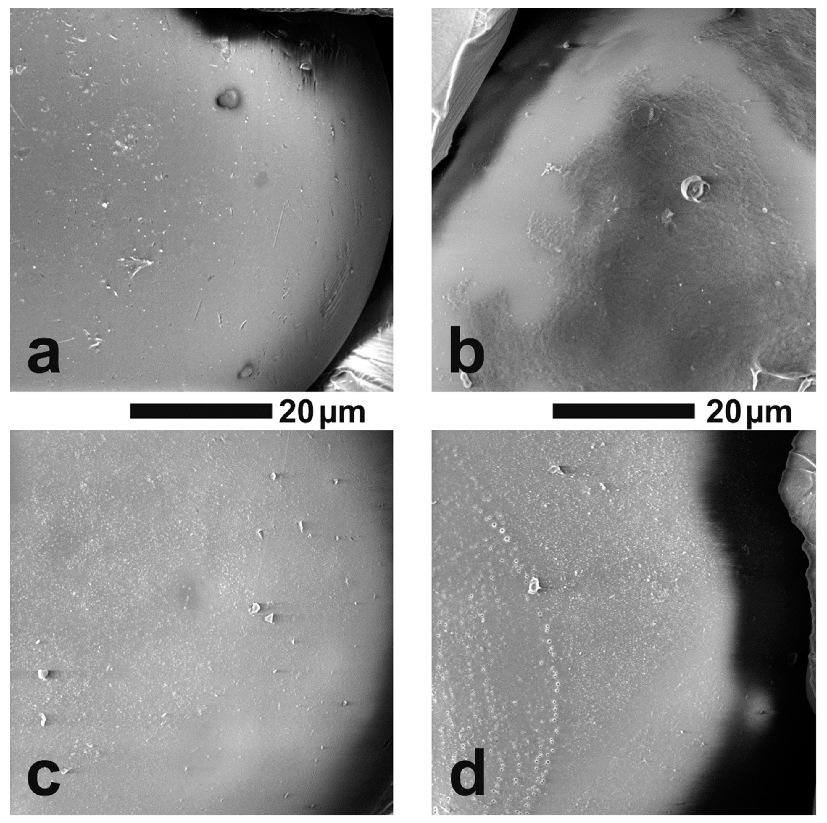 Molecules 27 01723 g003