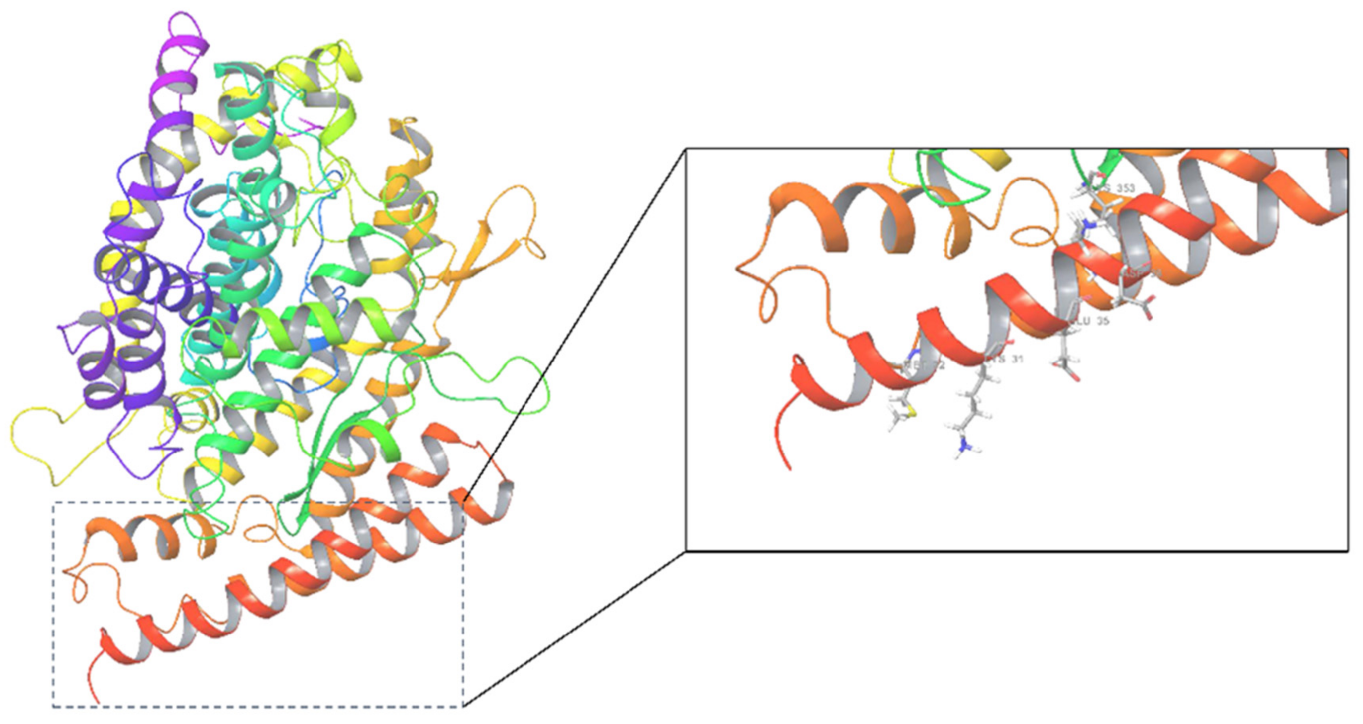 Molecules 27 01740 g001
