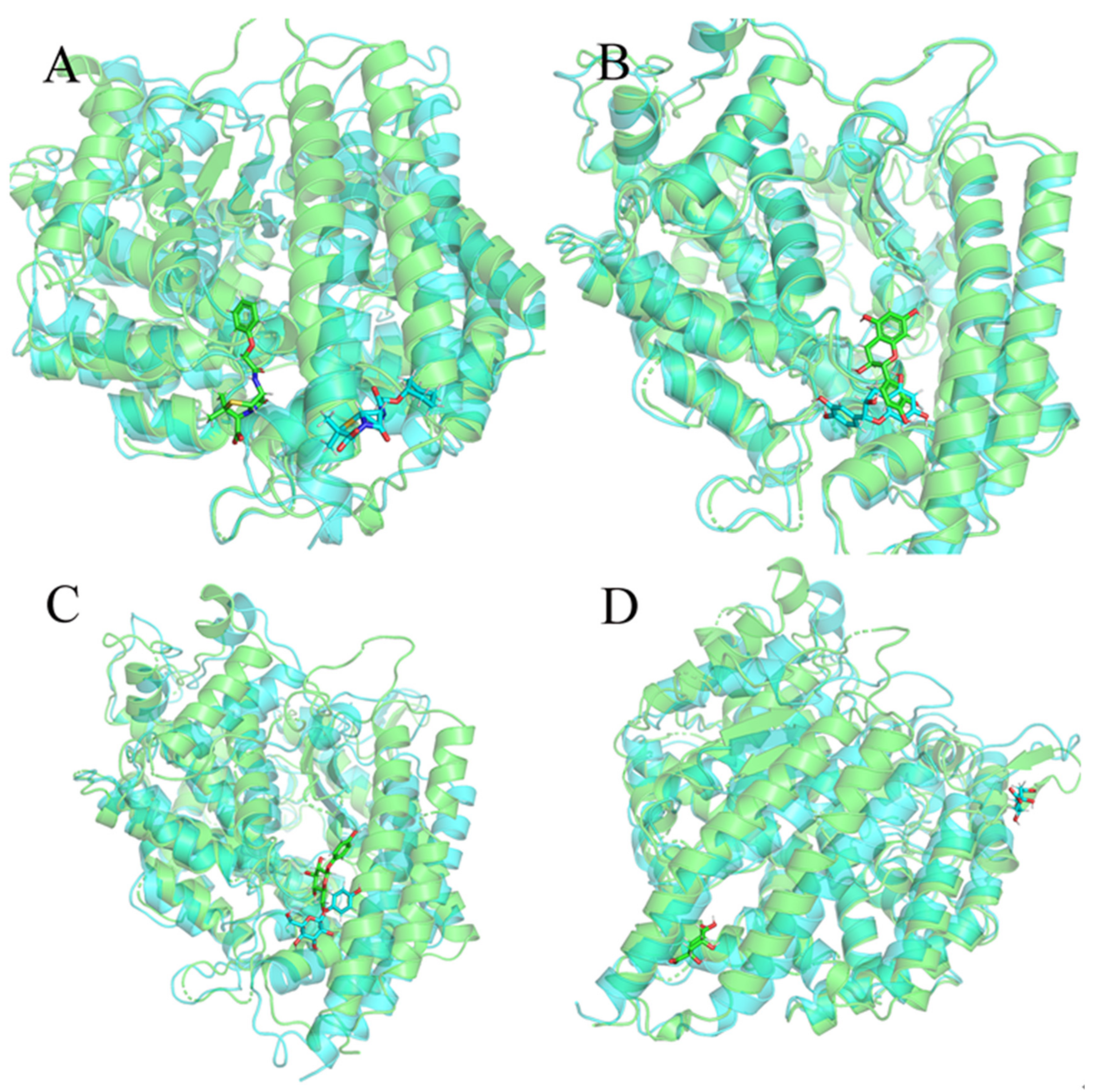 Molecules 27 01740 g005