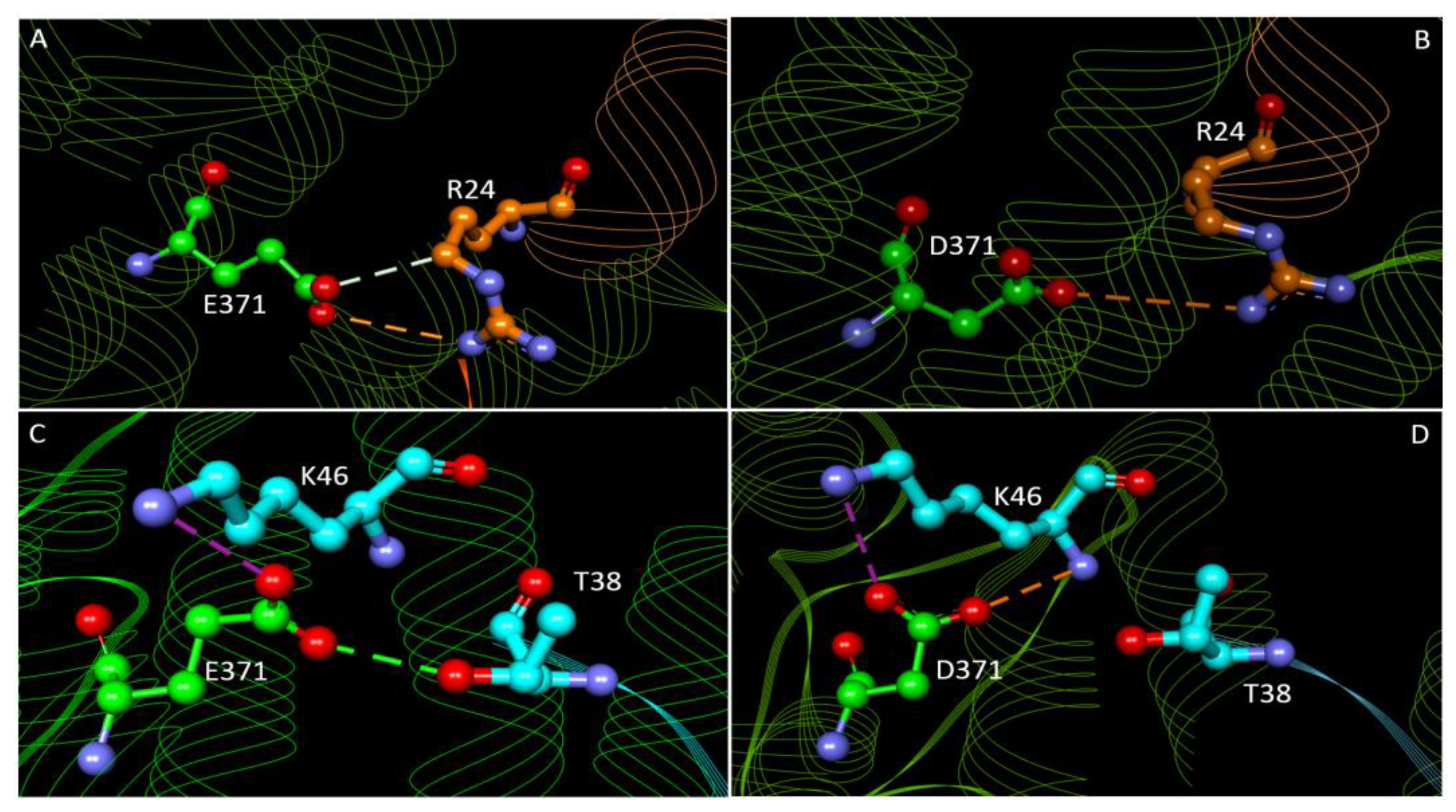Molecules 27 01747 g006