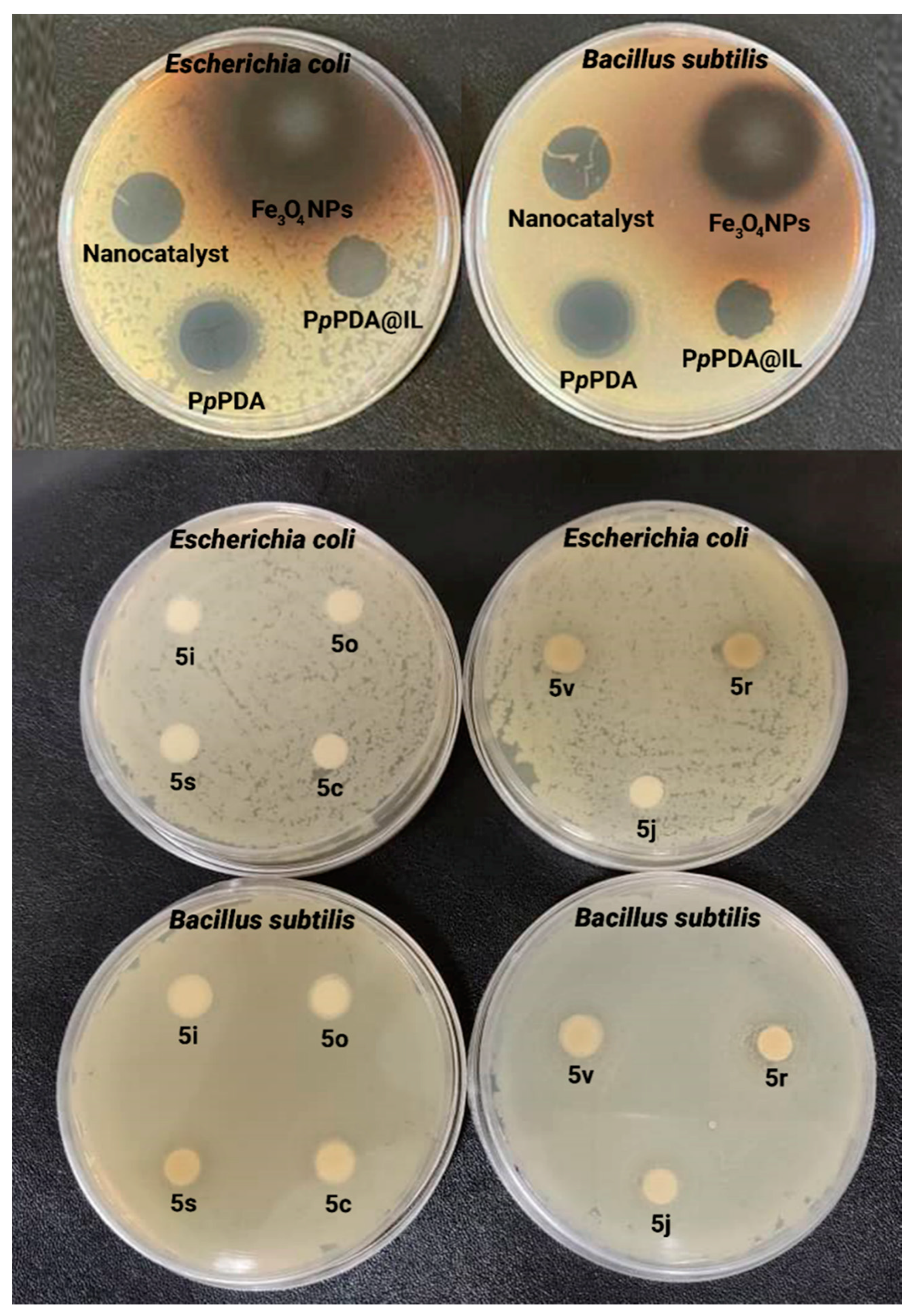 Molecules 27 01748 g006