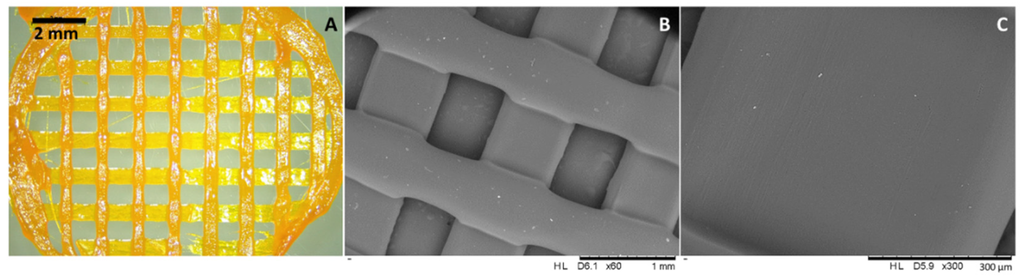 Molecules 27 01759 g003
