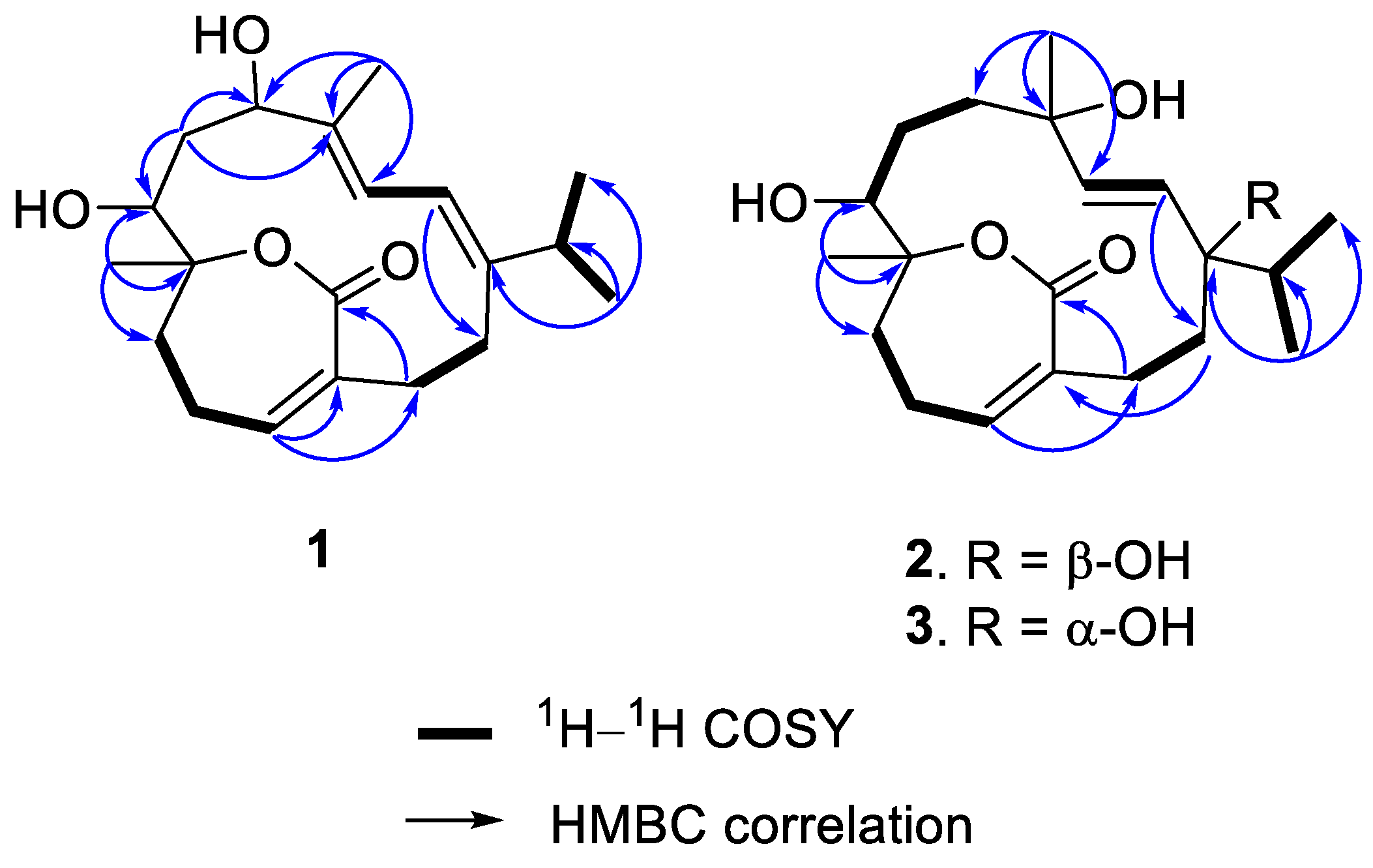 Molecules 27 01760 g001 Molecules 27 01760 g001