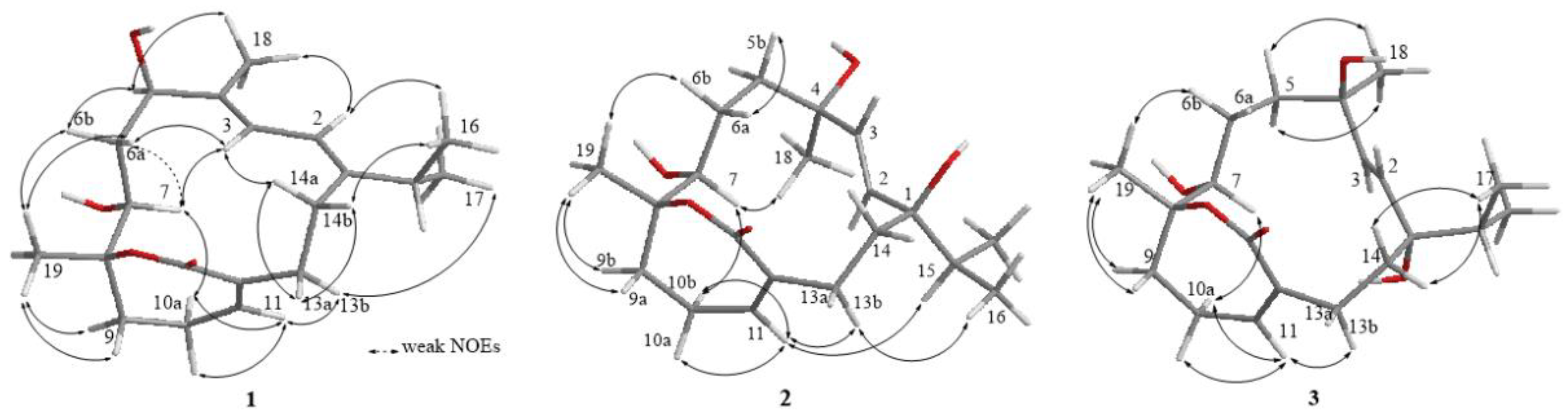 Molecules 27 01760 g002 Molecules 27 01760 g002