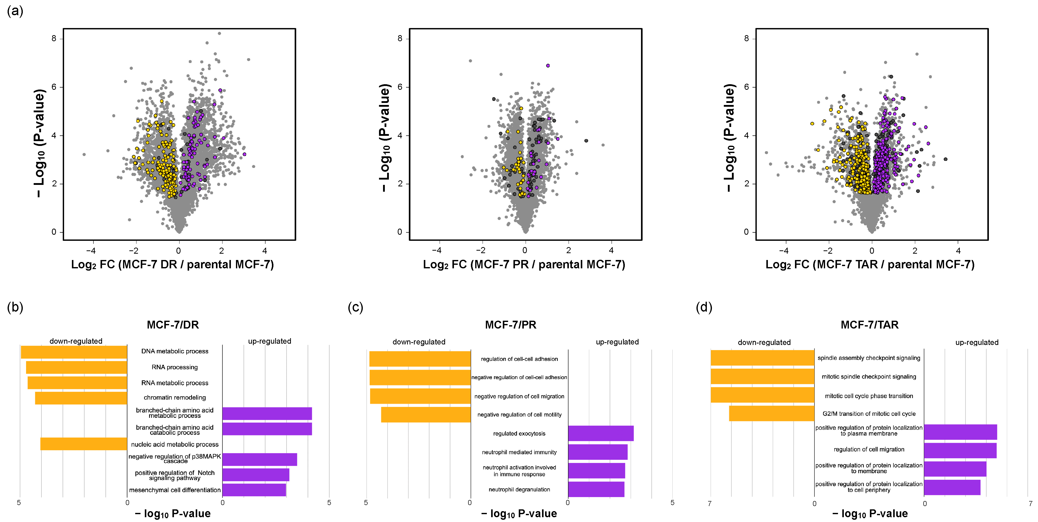 Molecules 27 01762 g004