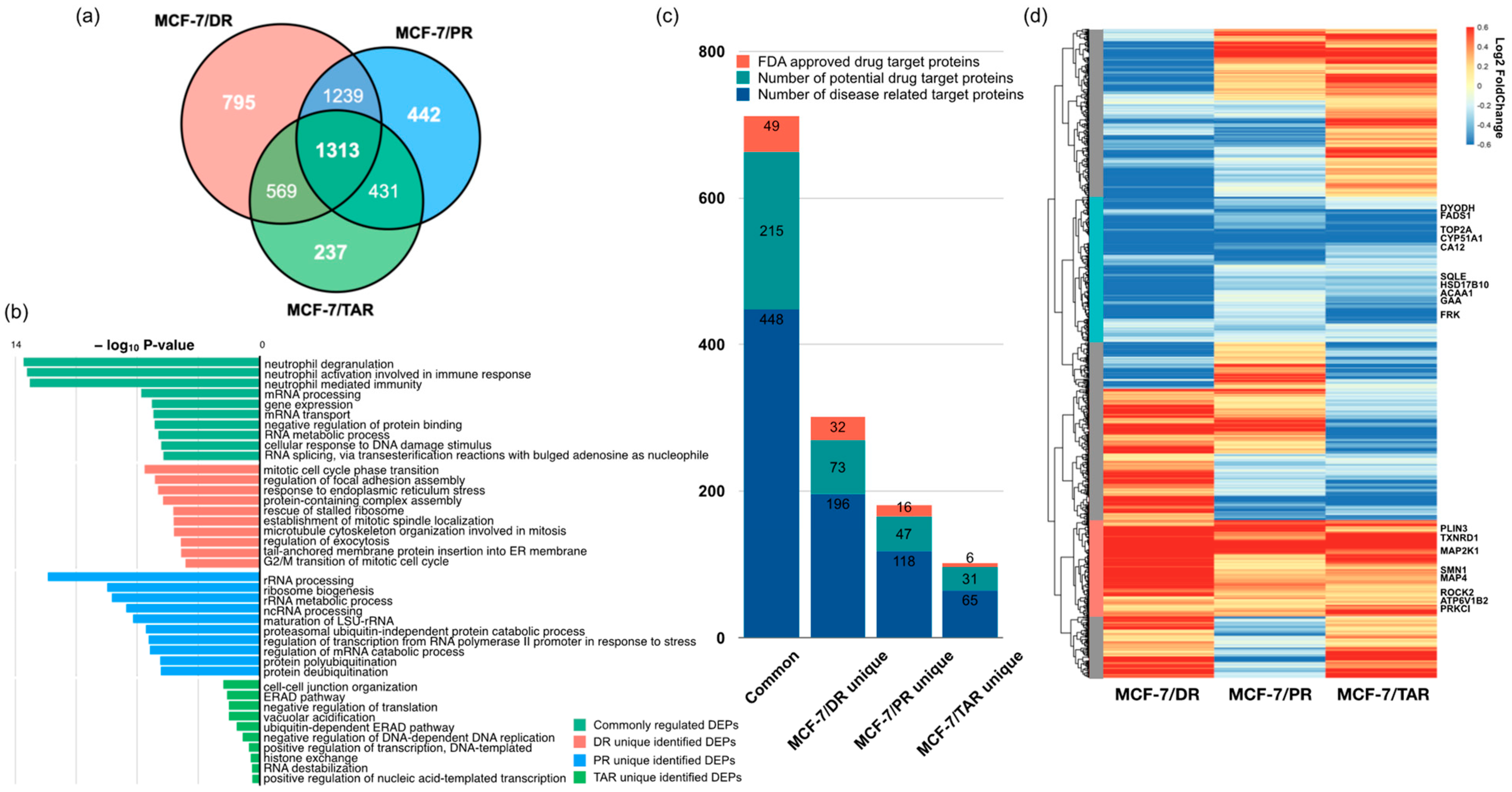 Molecules 27 01762 g005