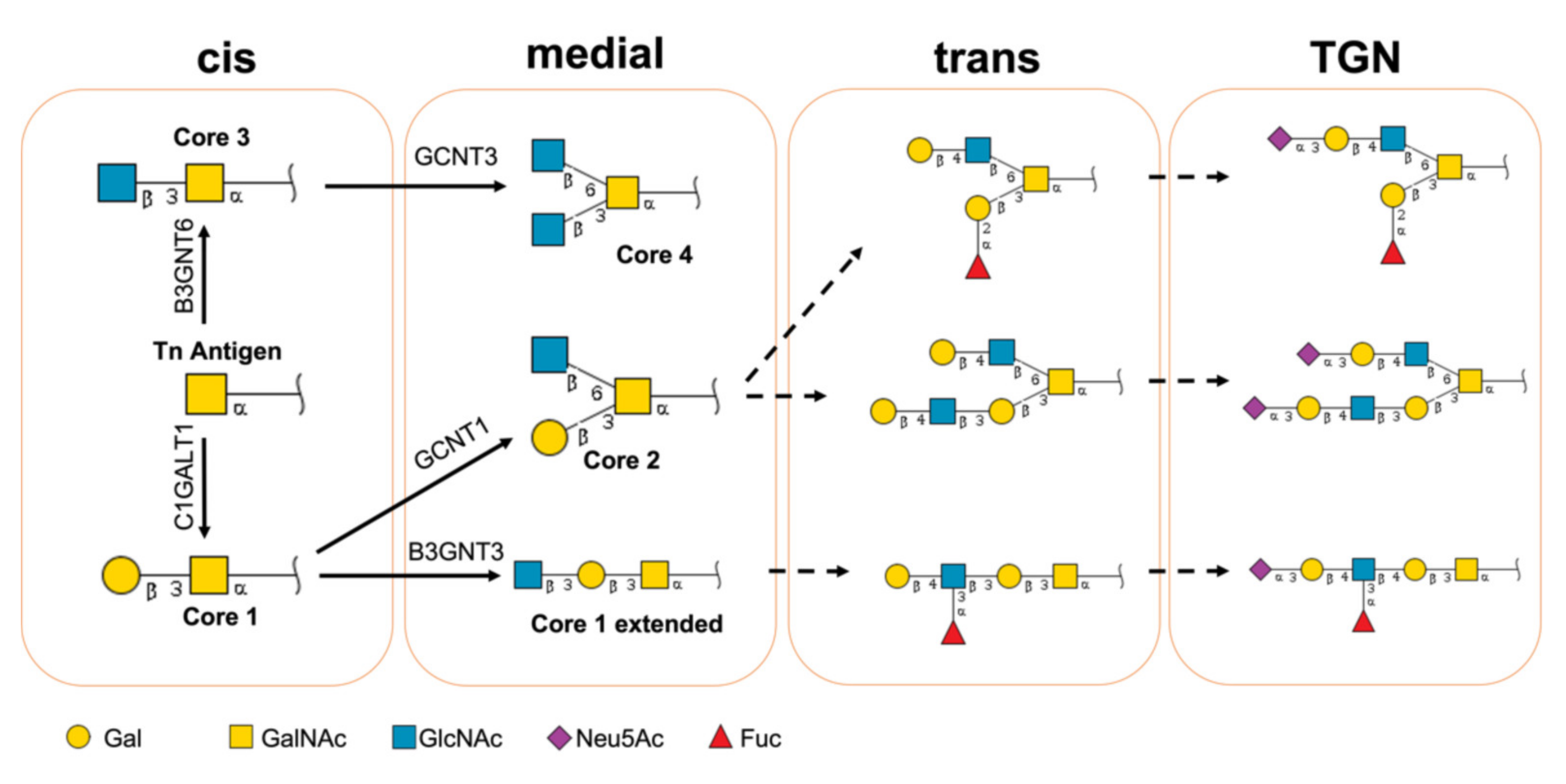 Molecules 27 01766 g001