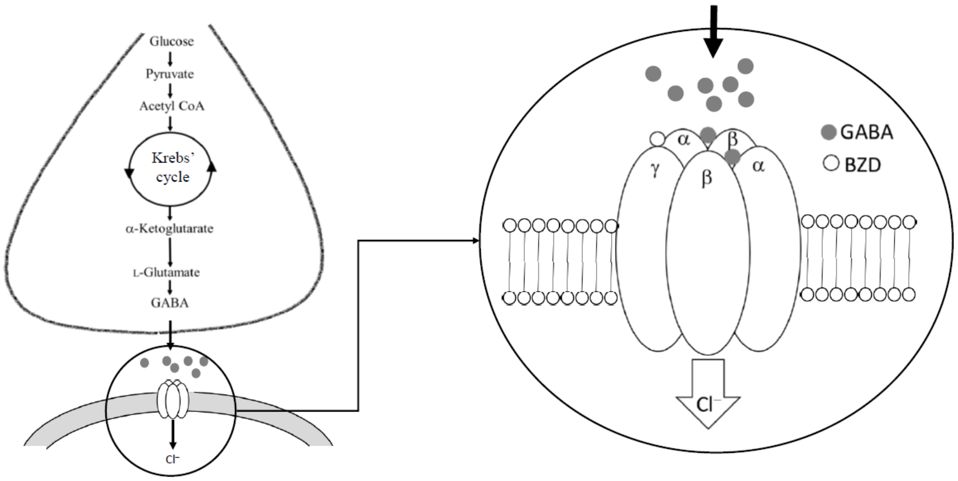 Molecules 27 01770 g001 Molecules 27 01770 g001