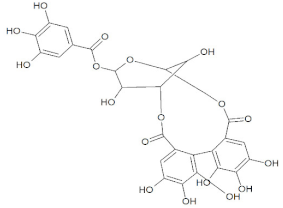 Molecules 27 01773 i004
