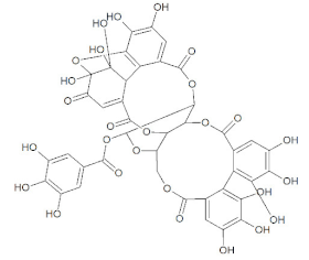 Molecules 27 01773 i005