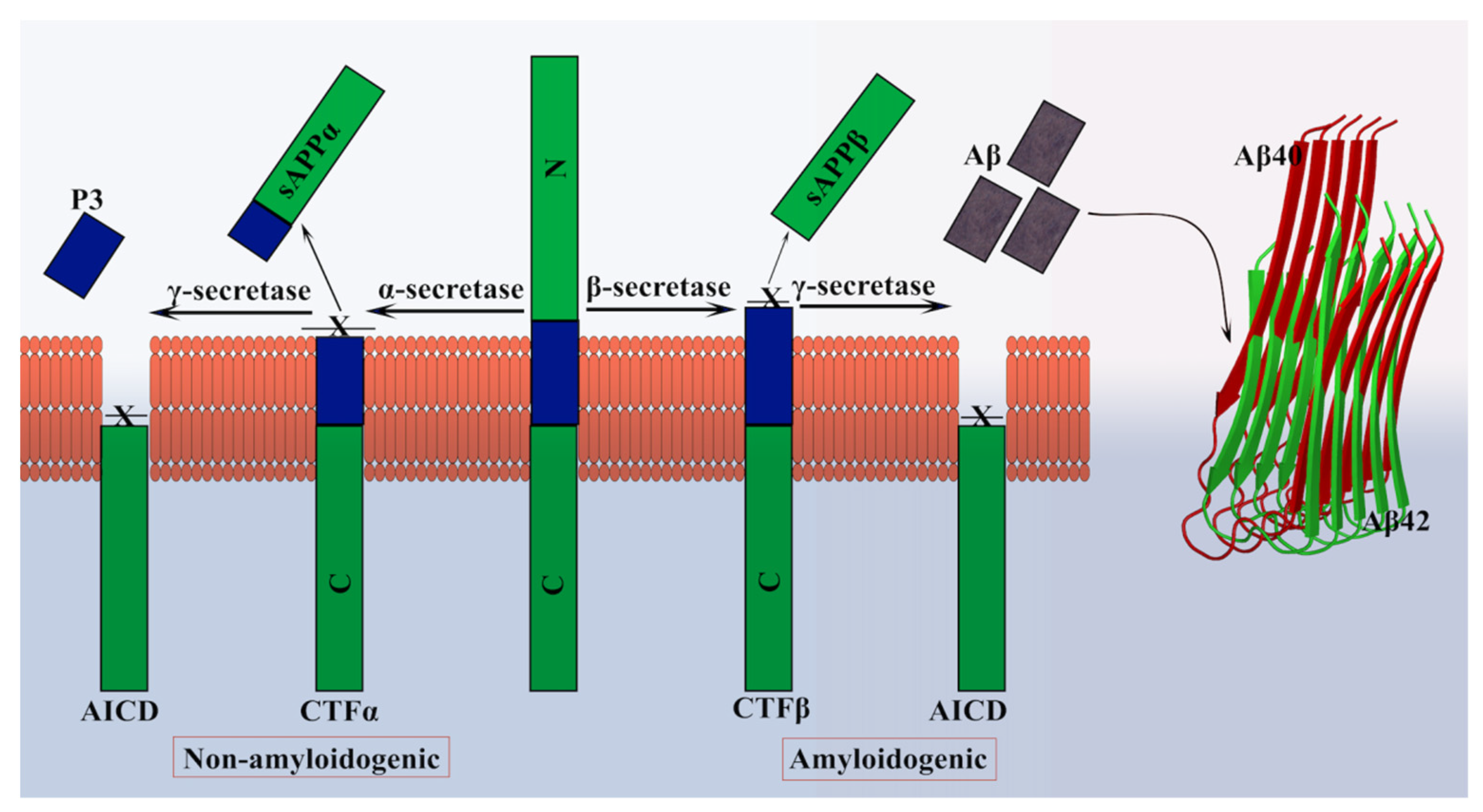 Molecules 27 01776 g002