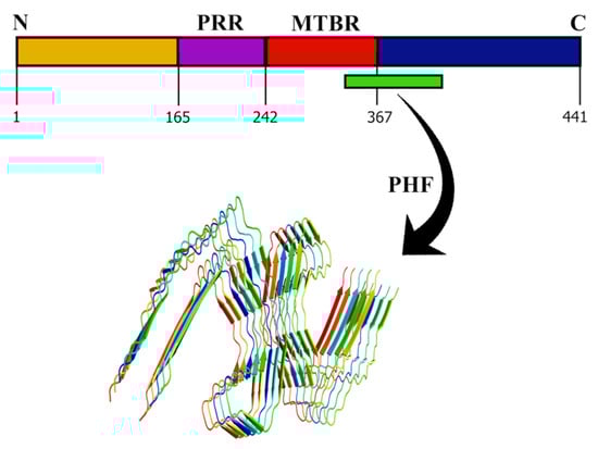Molecules 27 01776 g003