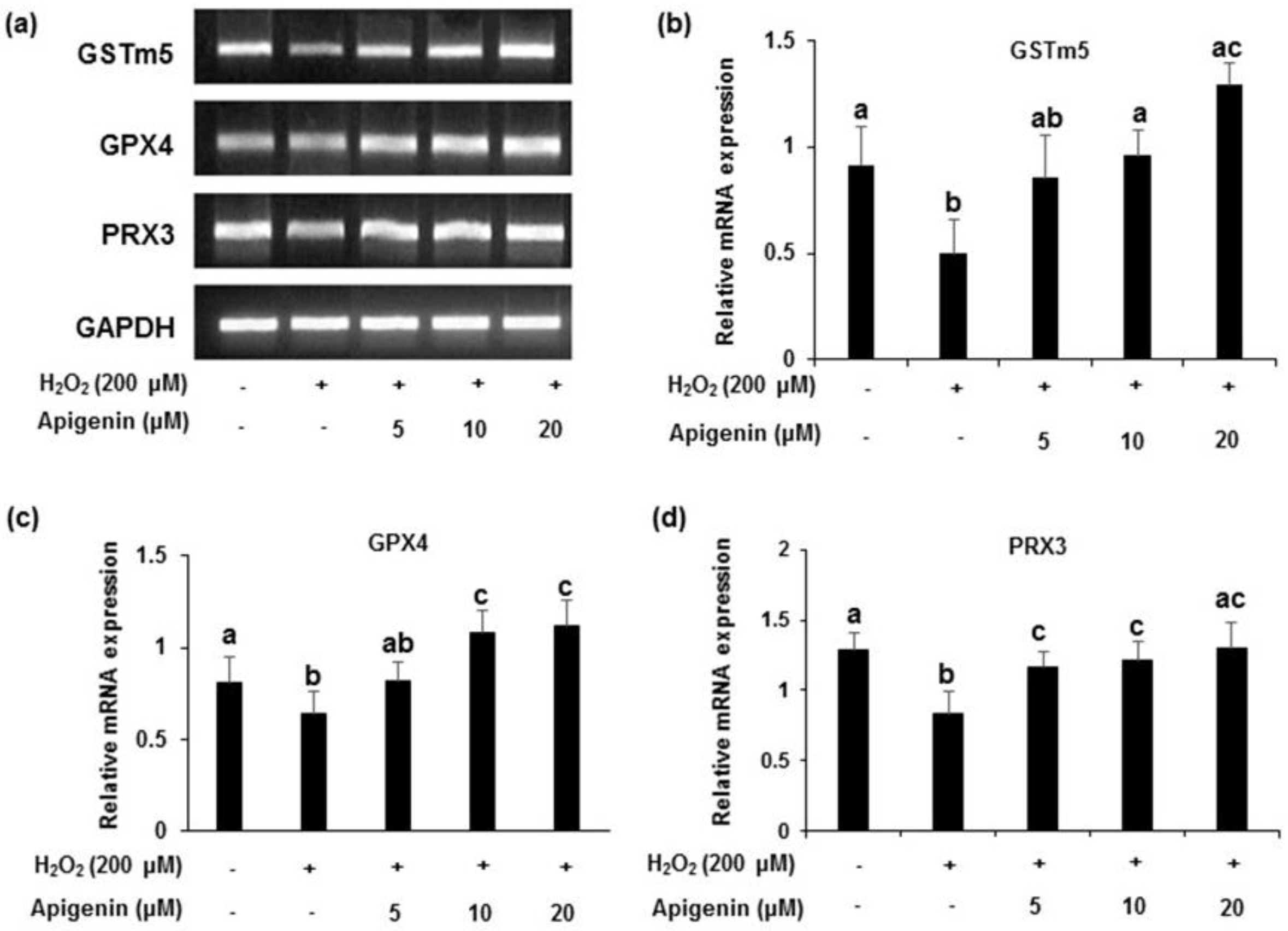 Molecules 27 01777 g005
