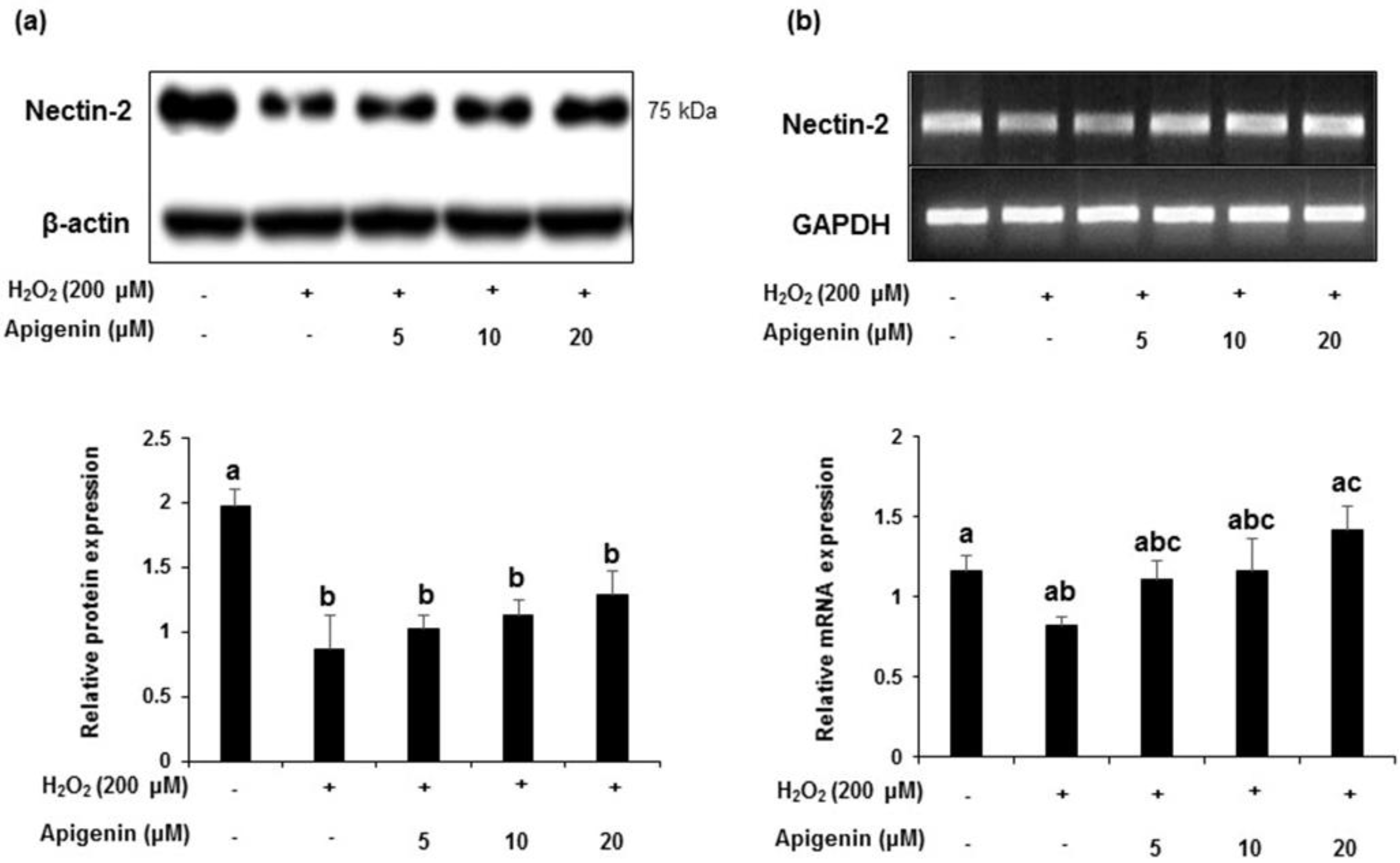 Molecules 27 01777 g006