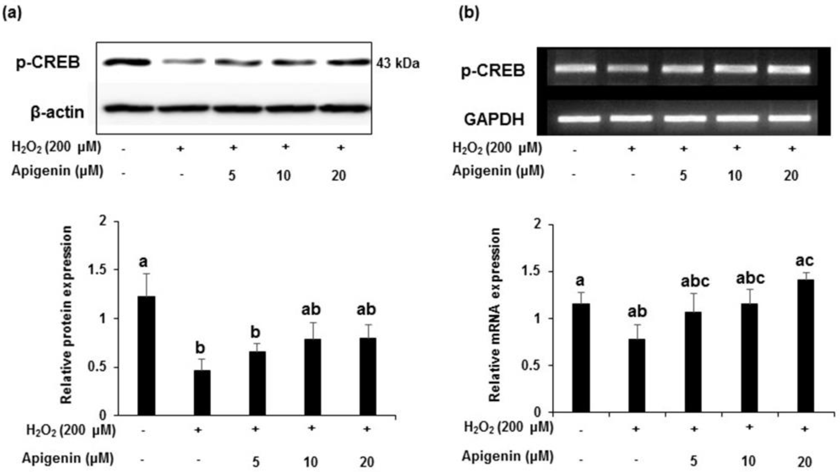 Molecules 27 01777 g007