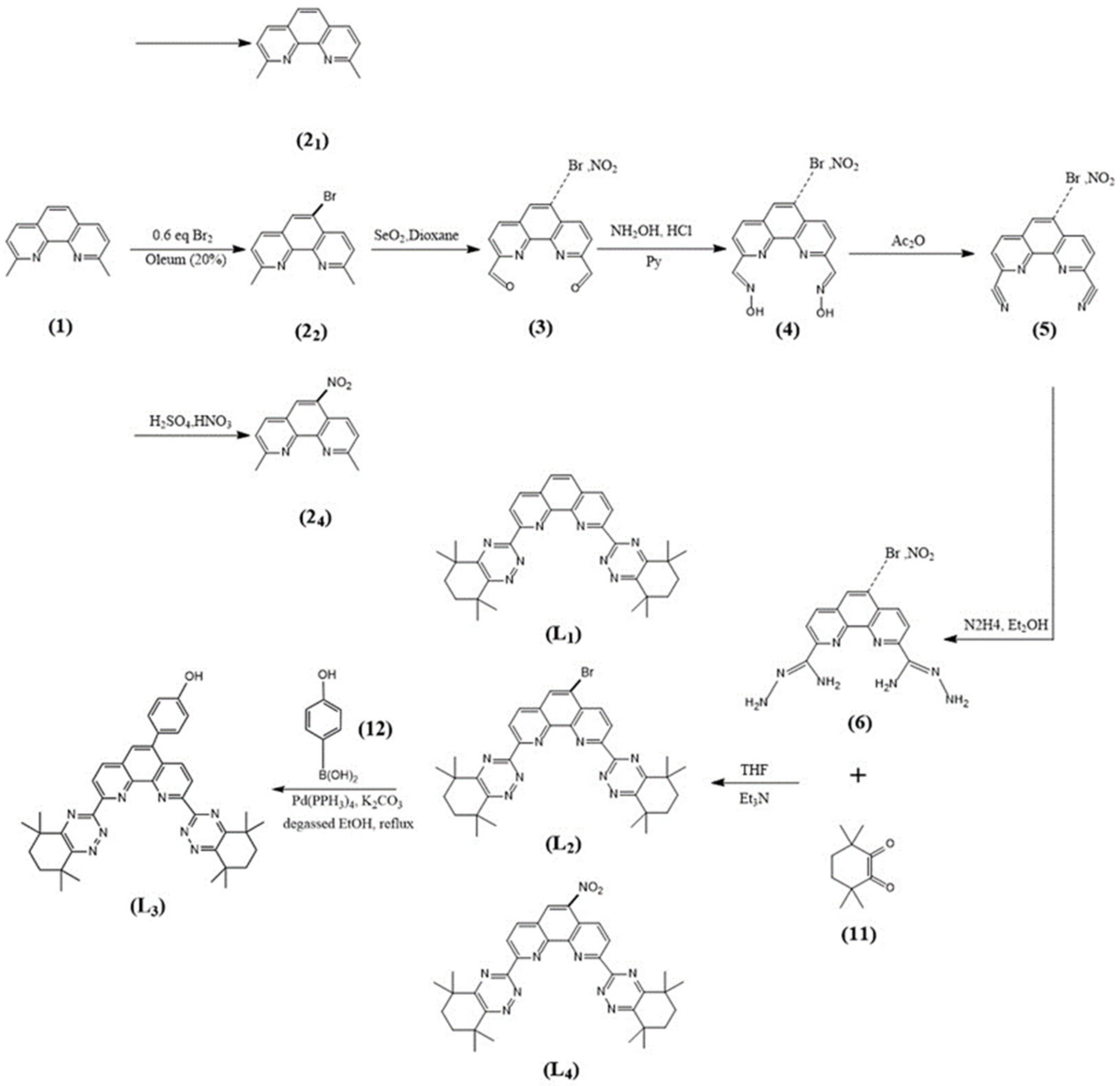 Molecules 27 01786 g007