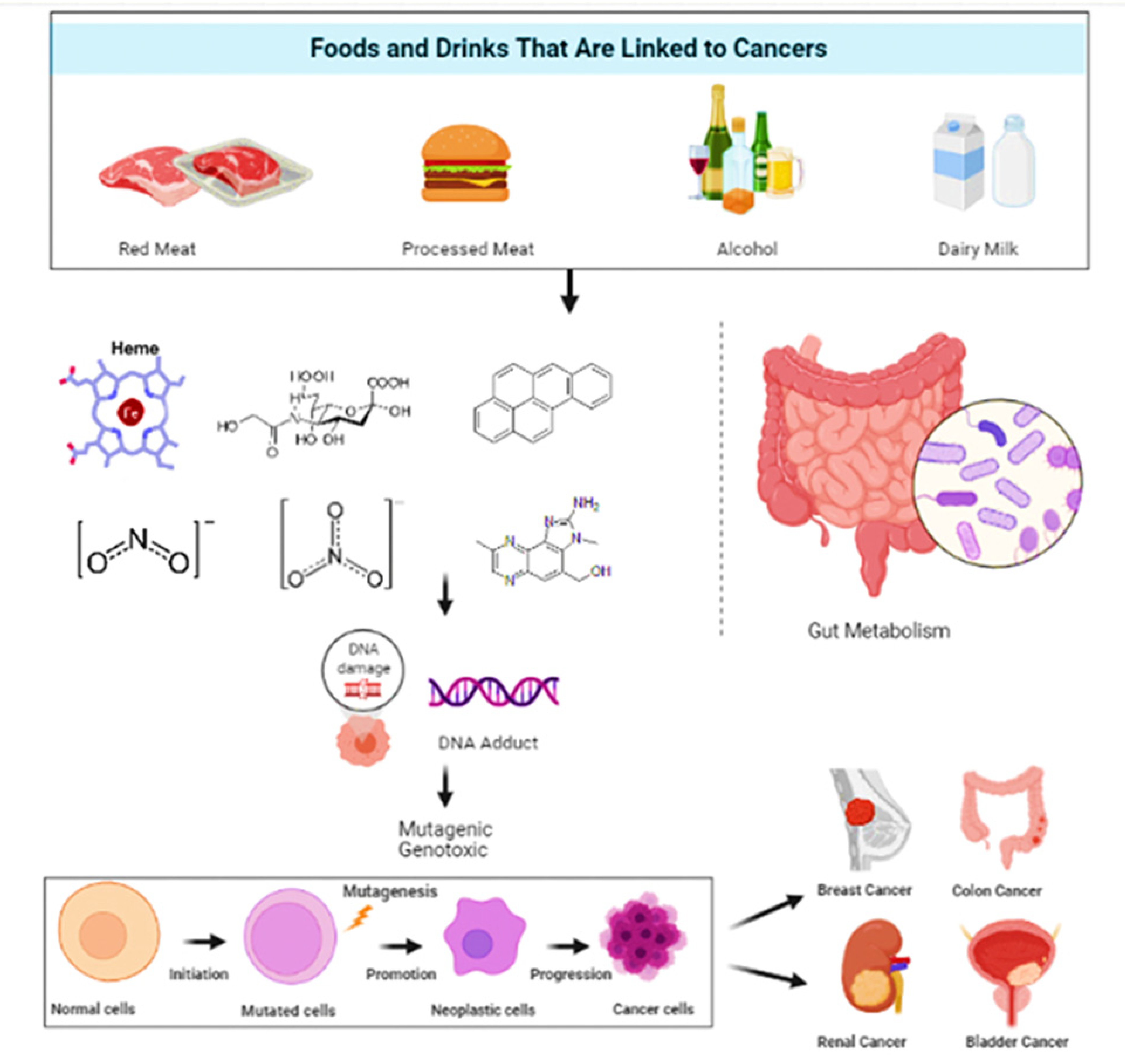 Molecules 27 01794 g001