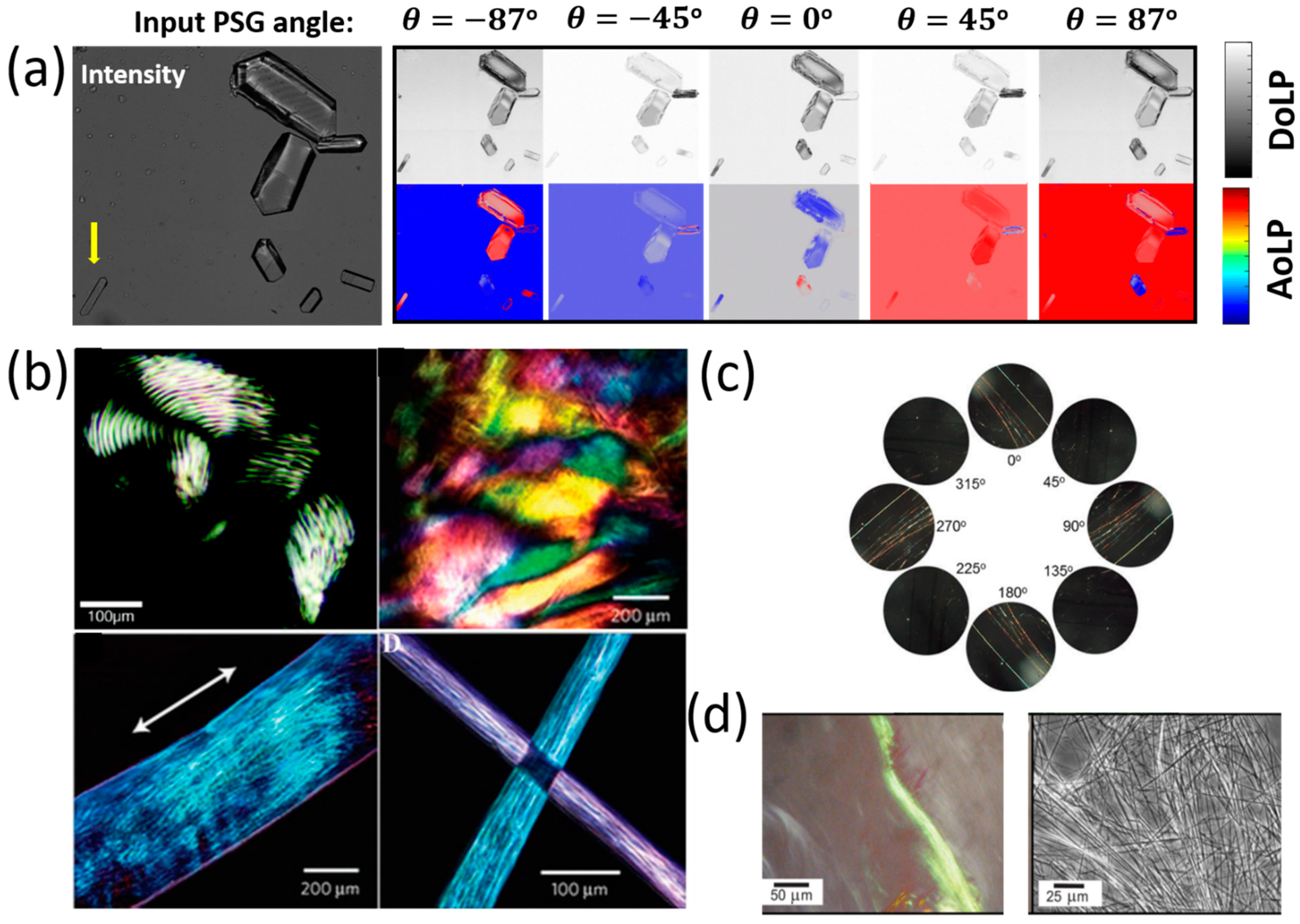 Molecules 27 01802 g003