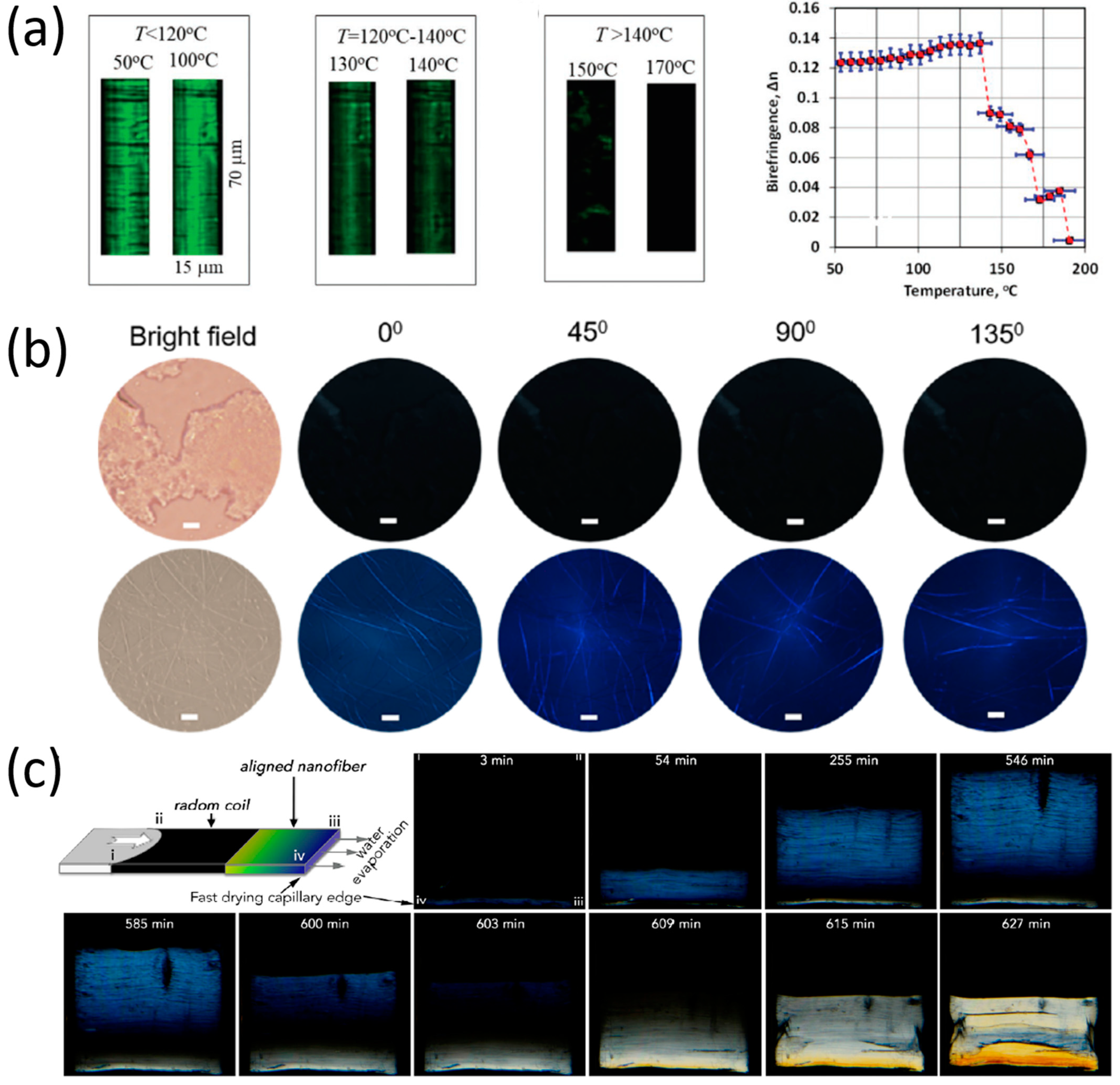 Molecules 27 01802 g004