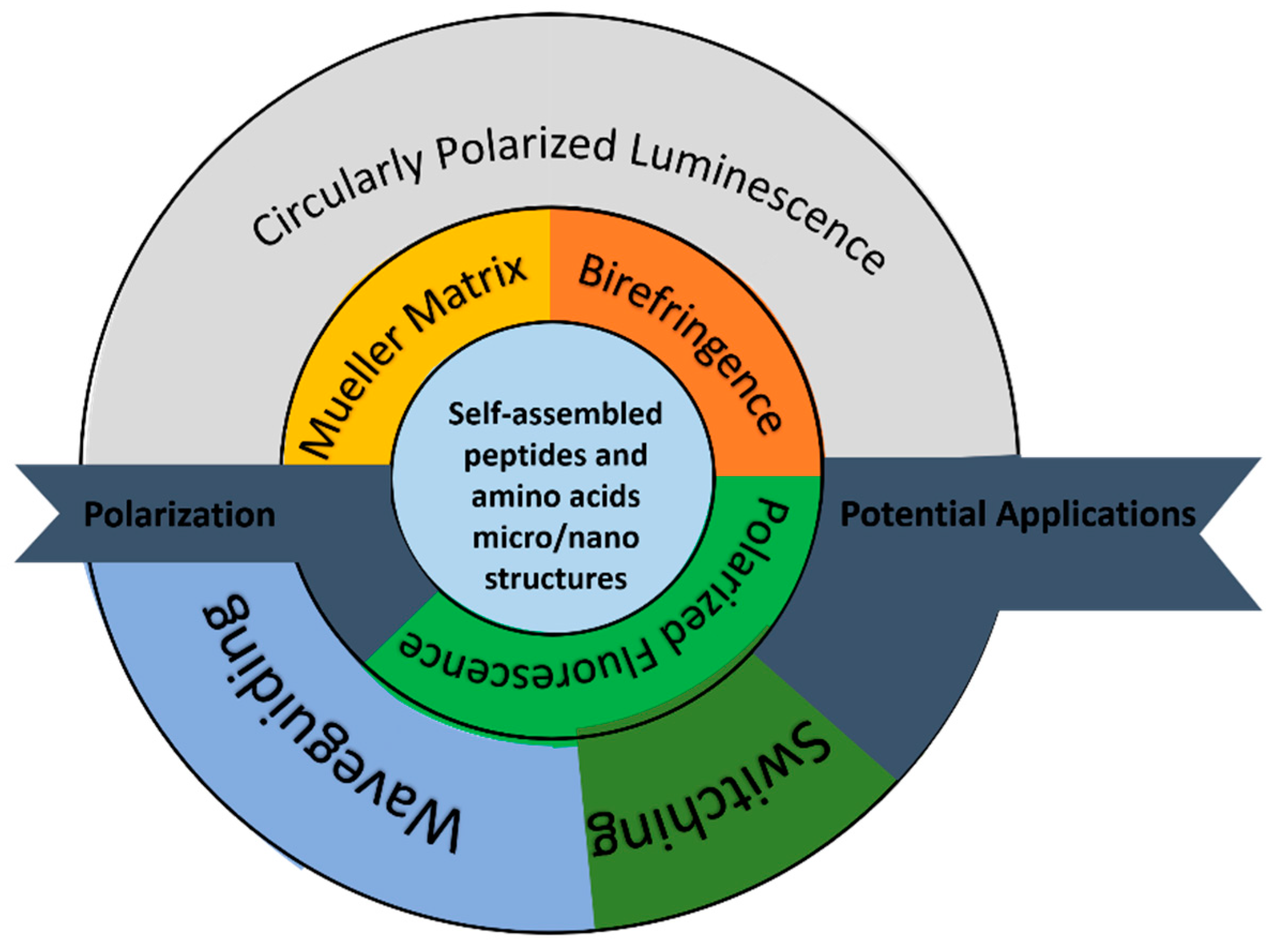 Molecules 27 01802 g007